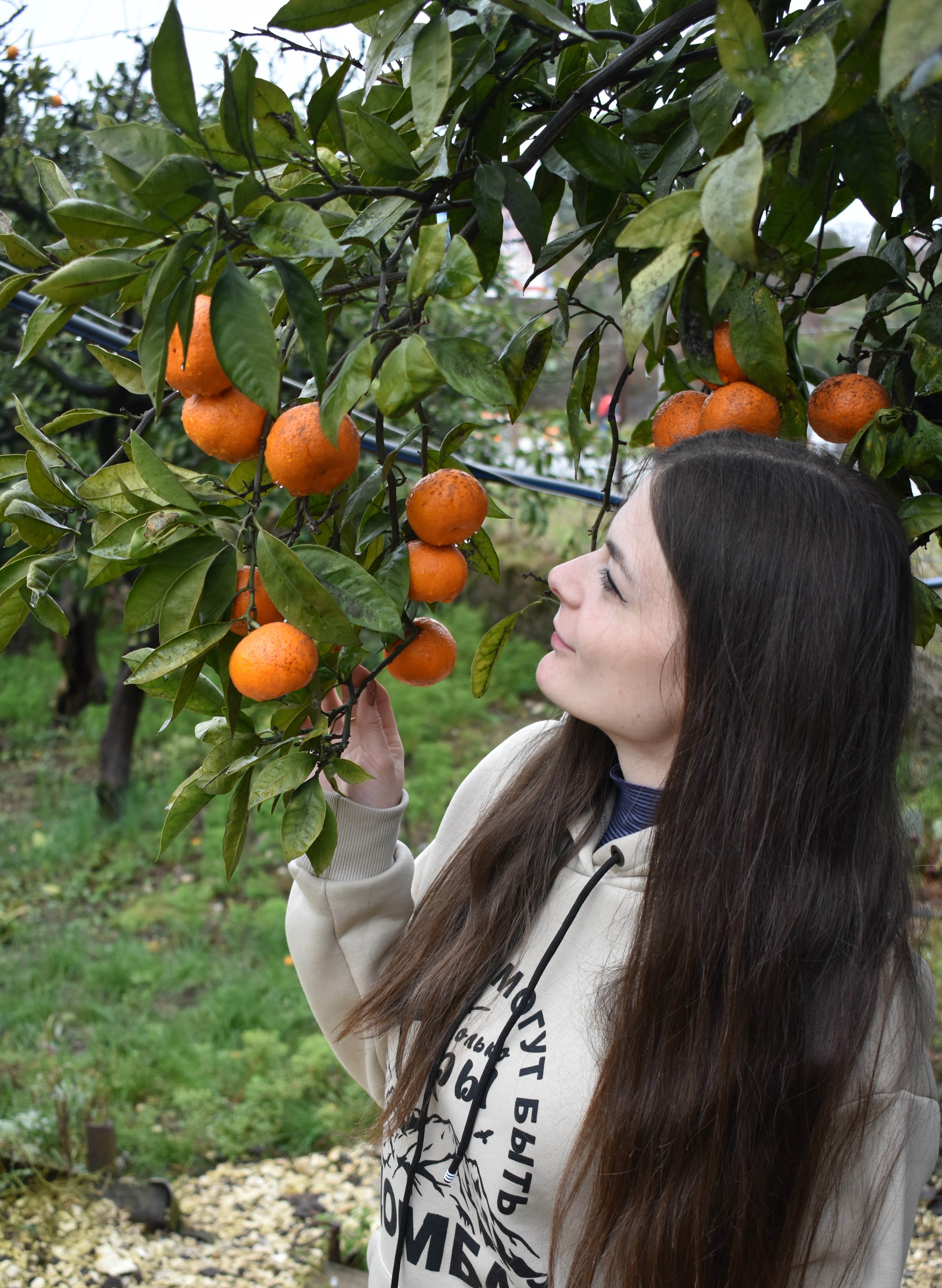 Абхазия. Эффект Вау за три дня (15/24)