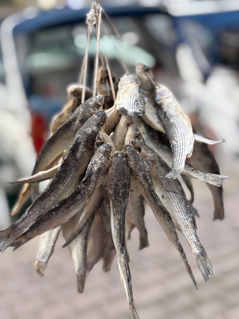 Южный берег Крыма и Wellness день в Мрии (13/13)