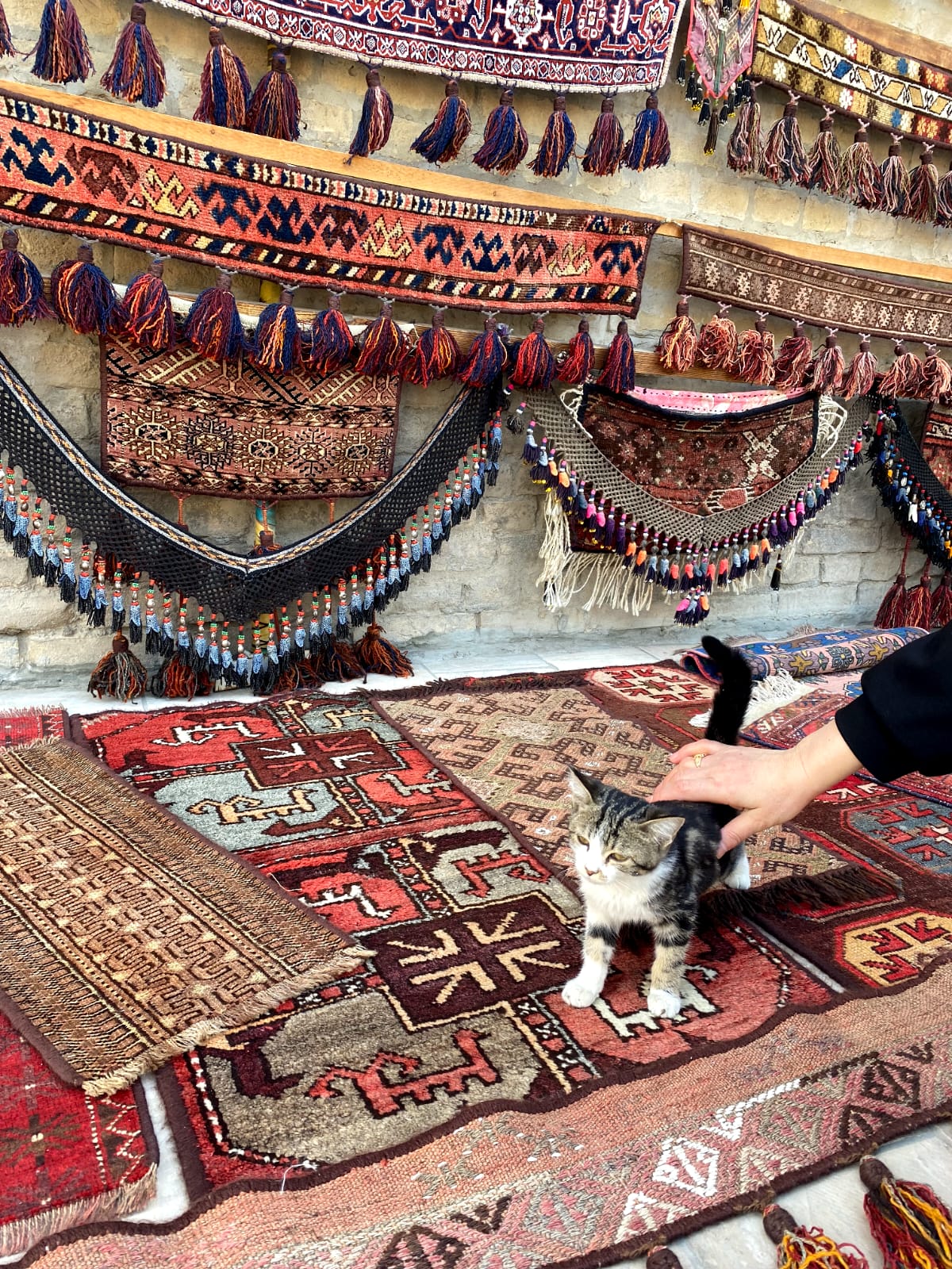 Бухара -экскурсия по вторникам (6/9)