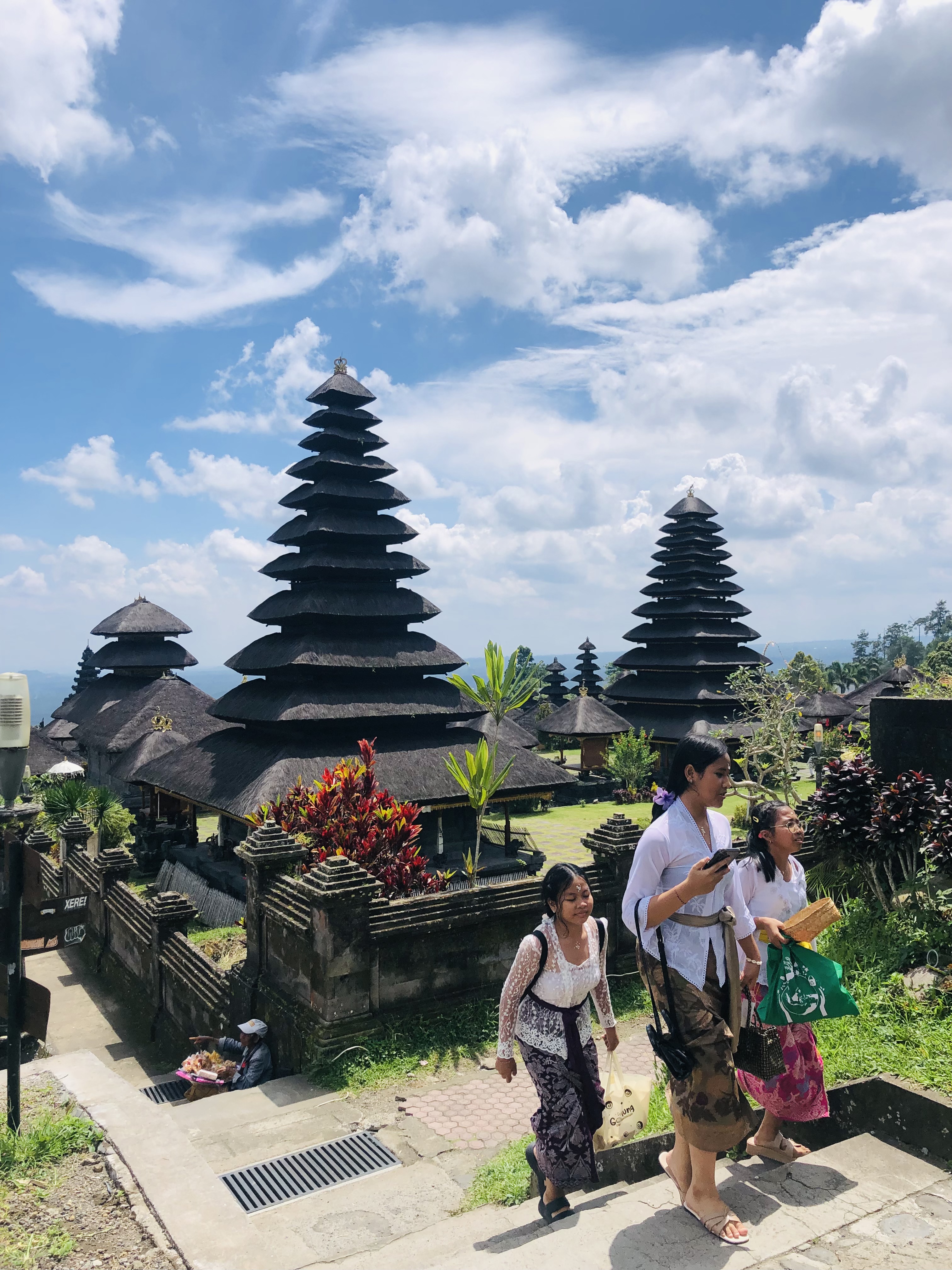 Балийское Блаженство. Волшебное Женское  Путешествие на изумрудном Острове Богов. (87/138)