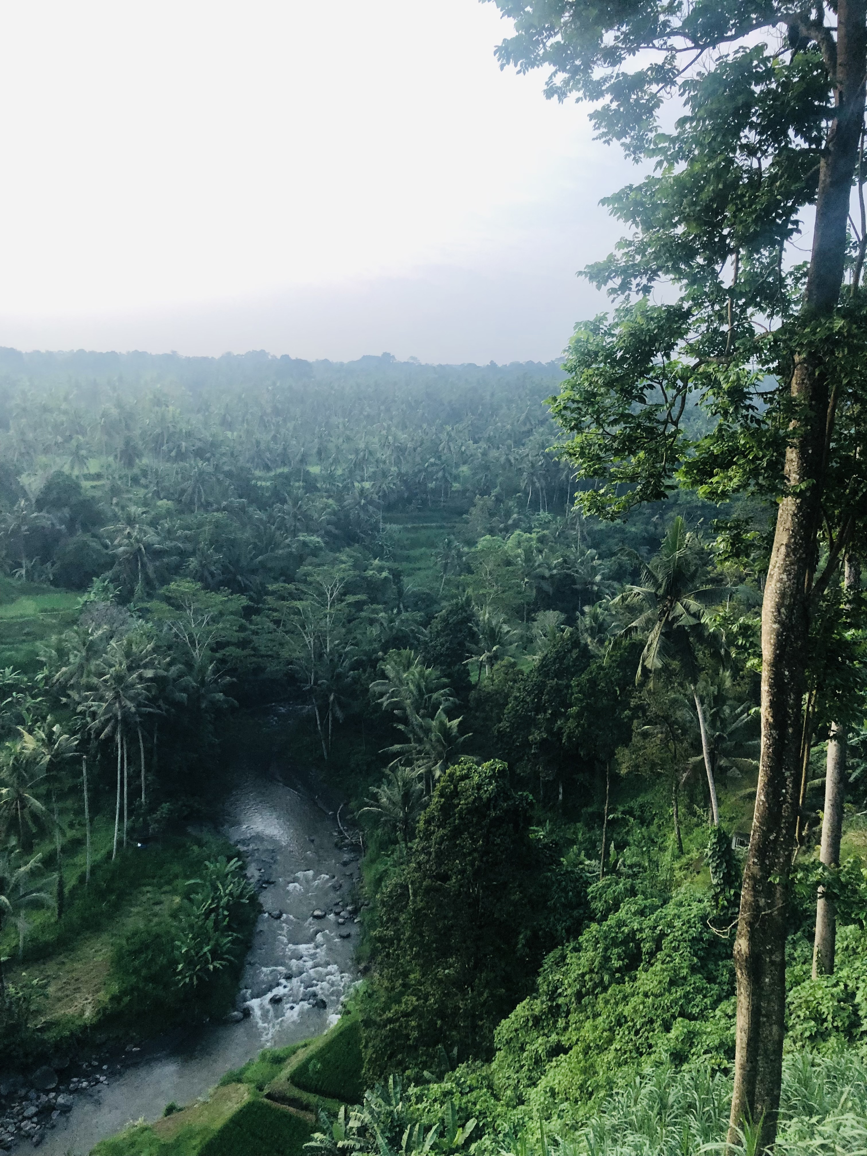 Балийское Блаженство. Волшебное Женское  Путешествие на изумрудном Острове Богов. (101/138)