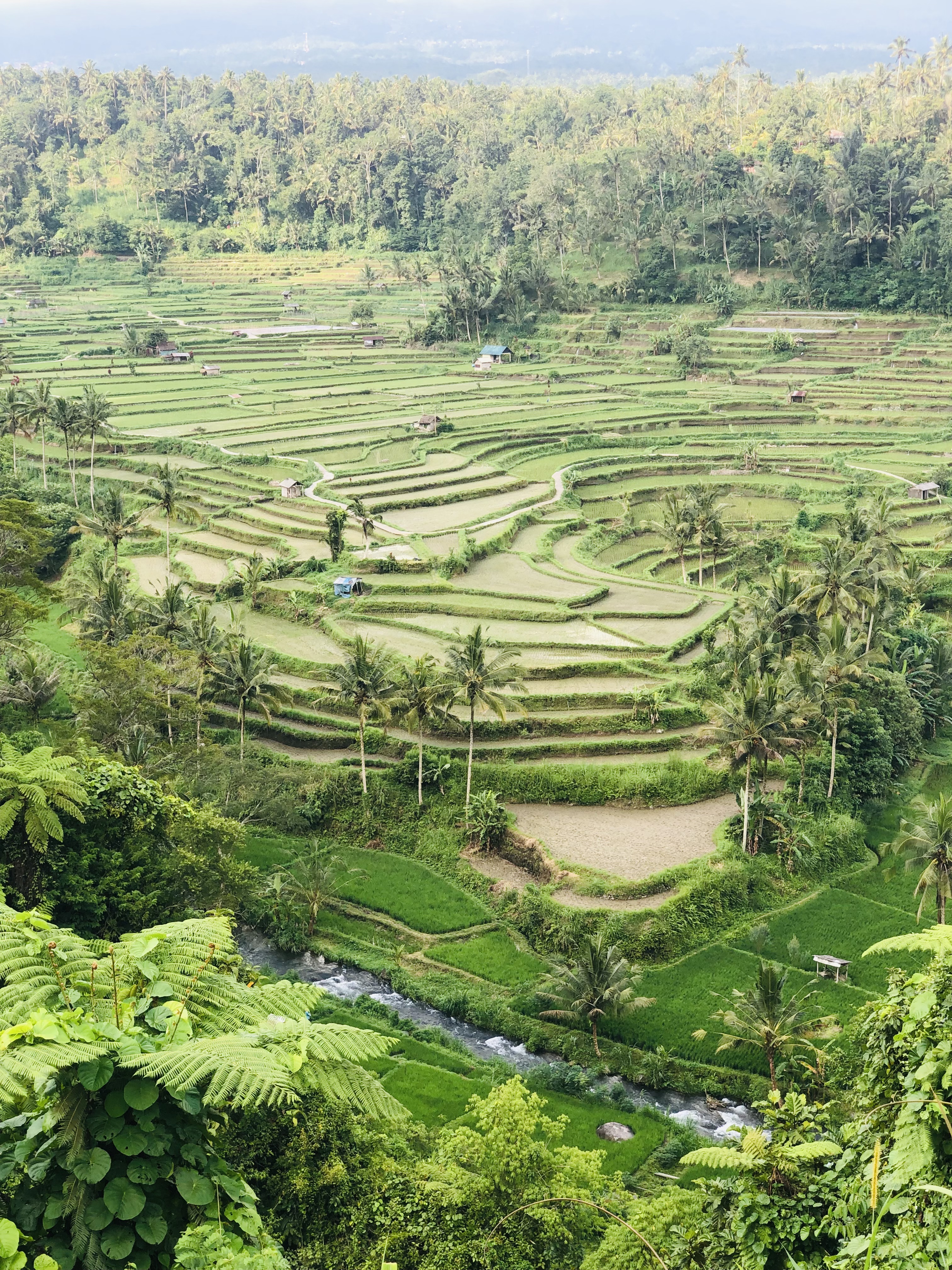 Балийское Блаженство. Волшебное Женское  Путешествие на изумрудном Острове Богов. (80/138)