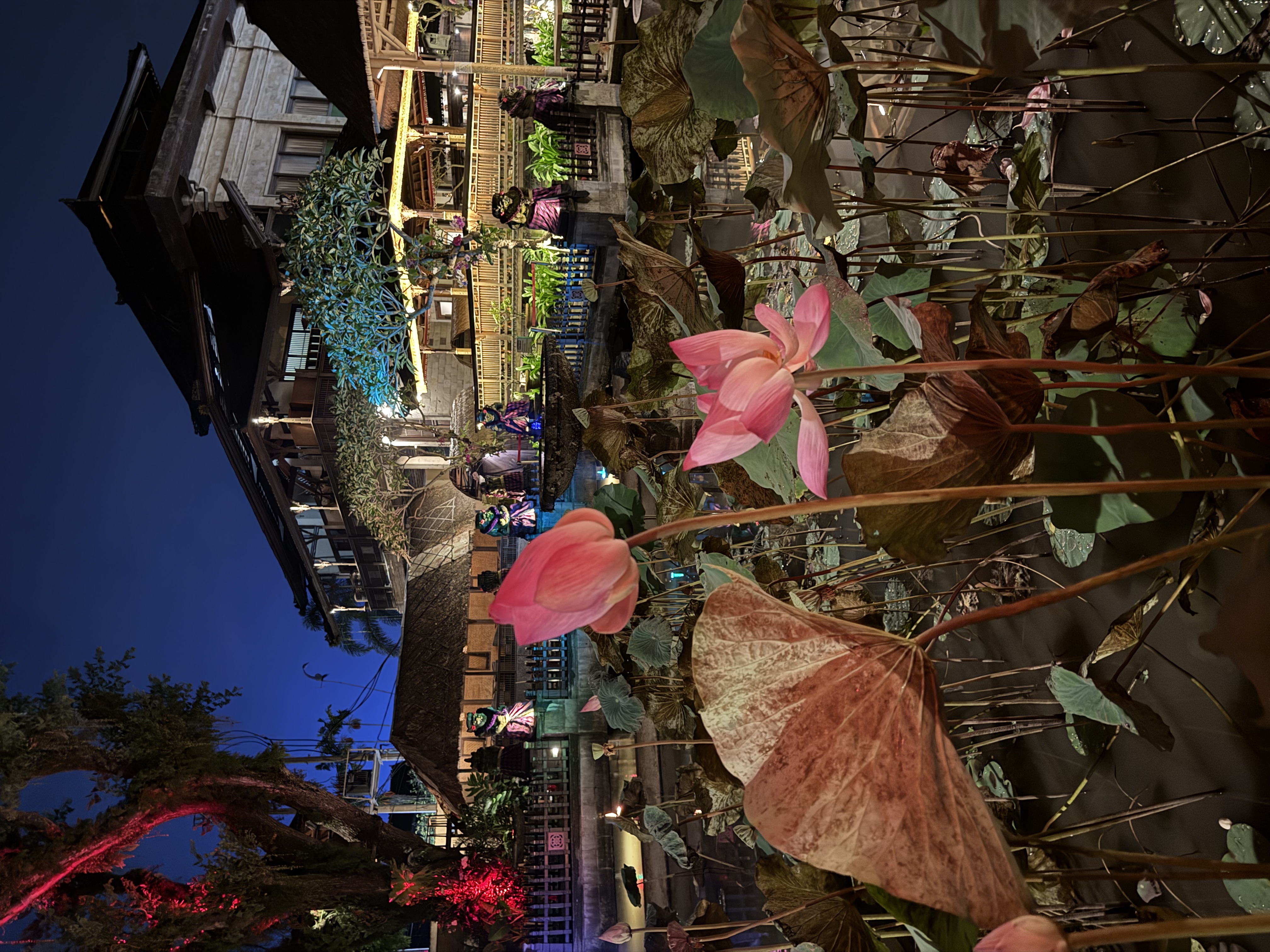 Балийское Блаженство. Волшебное Женское  Путешествие на изумрудном Острове Богов. (78/138)