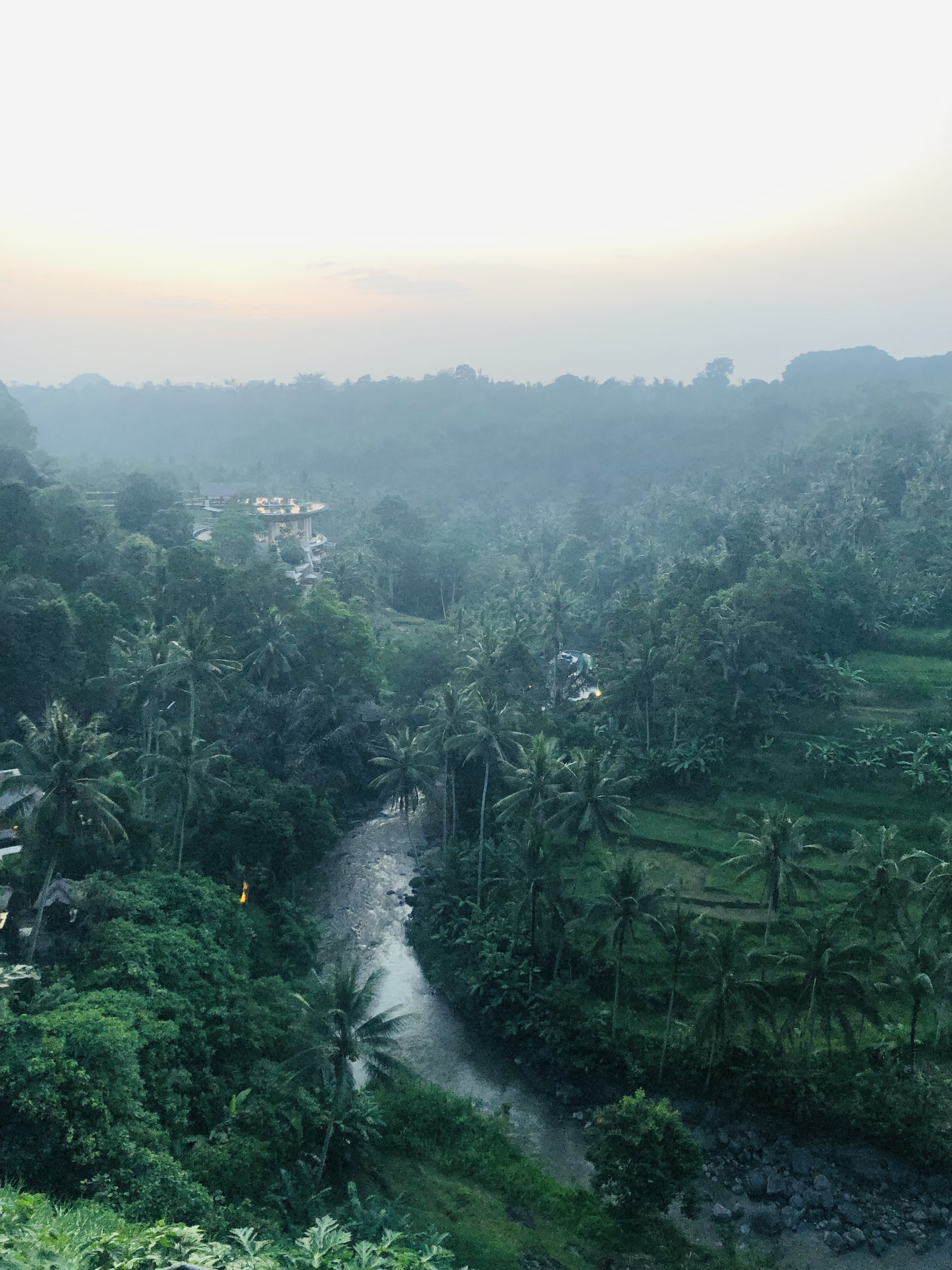 Вдохновение. Королевский Убуд