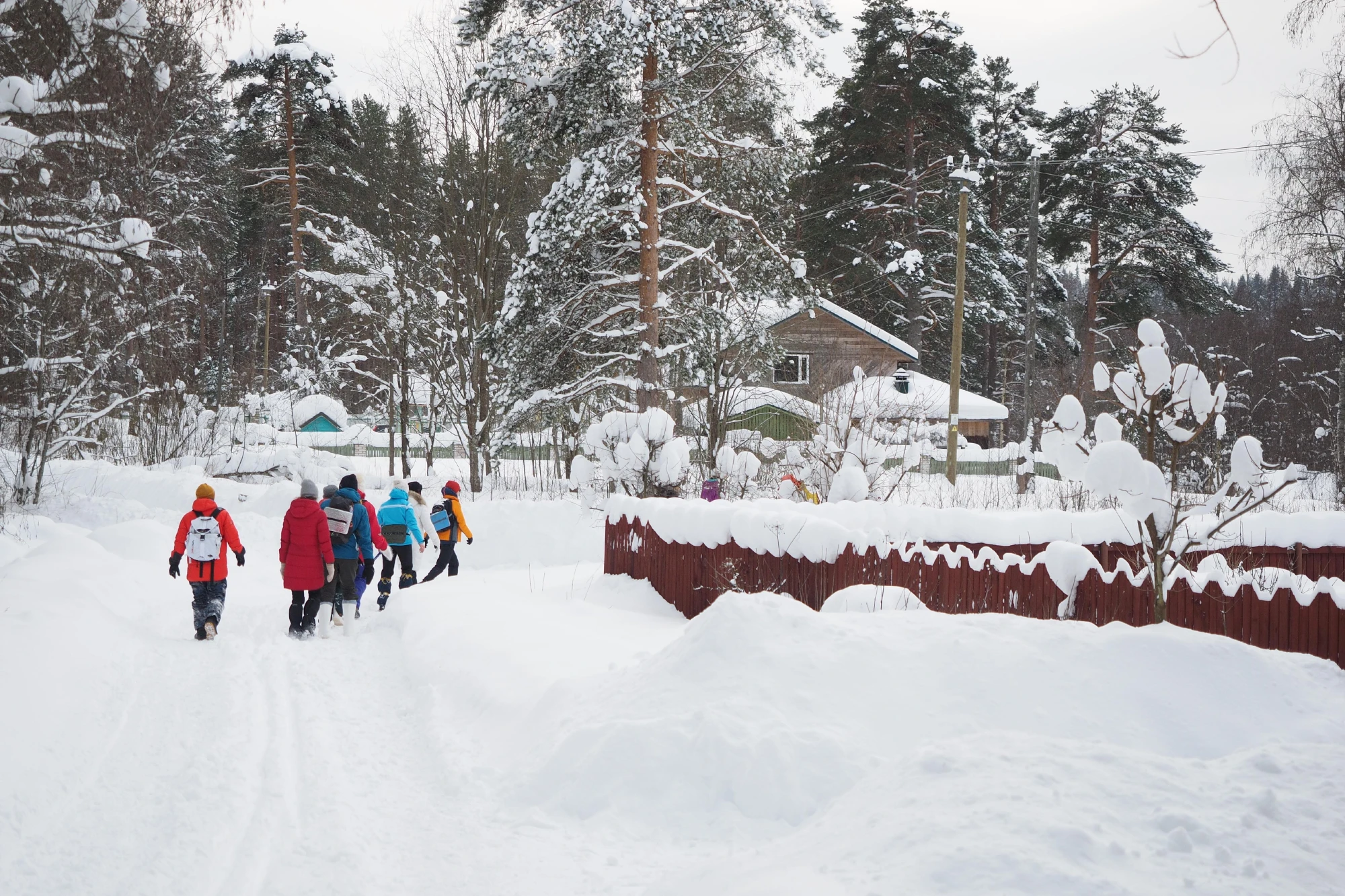 Зима в Карелии. Активный тур на шхеры и скалы Ладоги с тренировками на Змеиной горе
