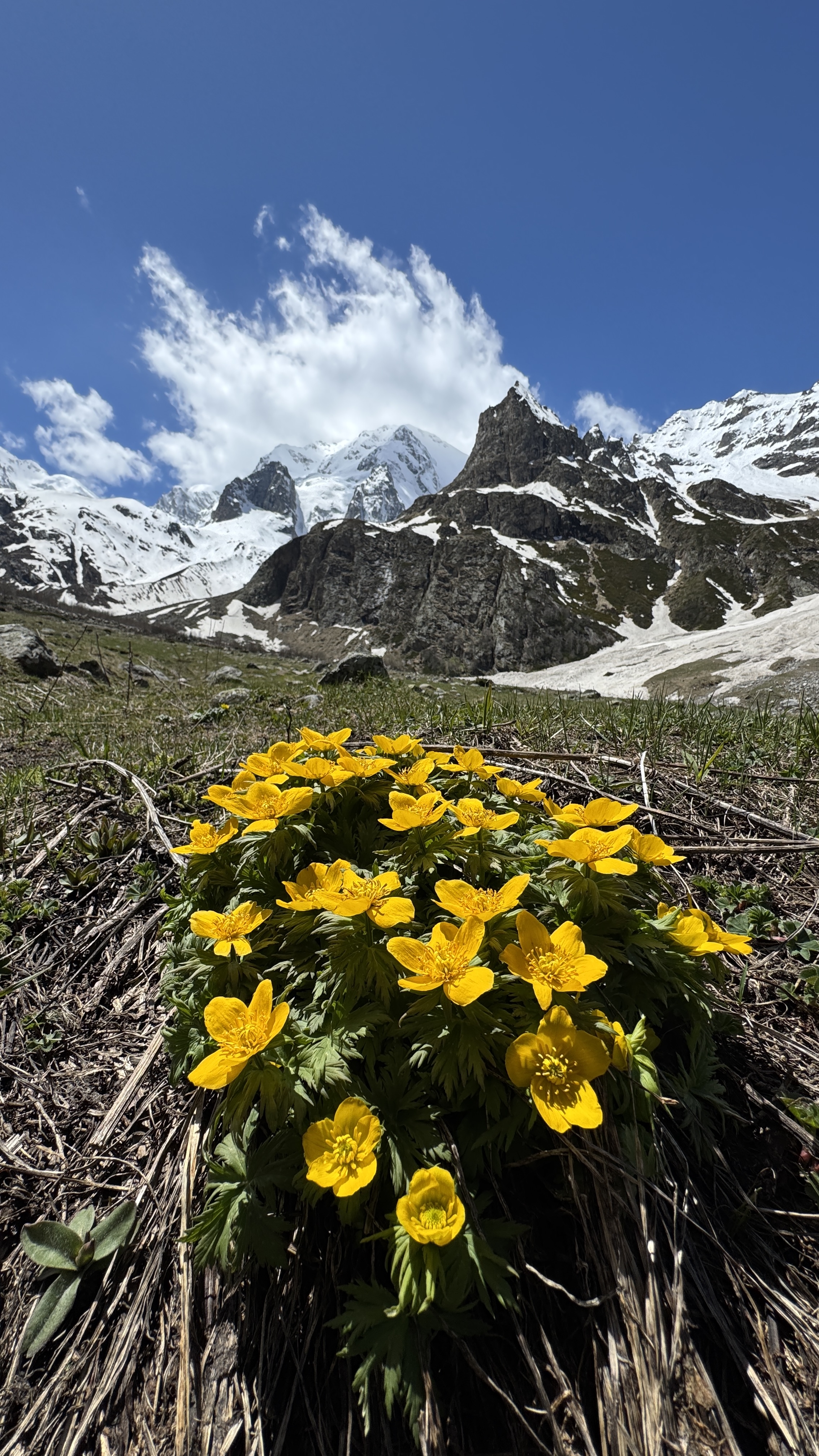 Черекское ущелье