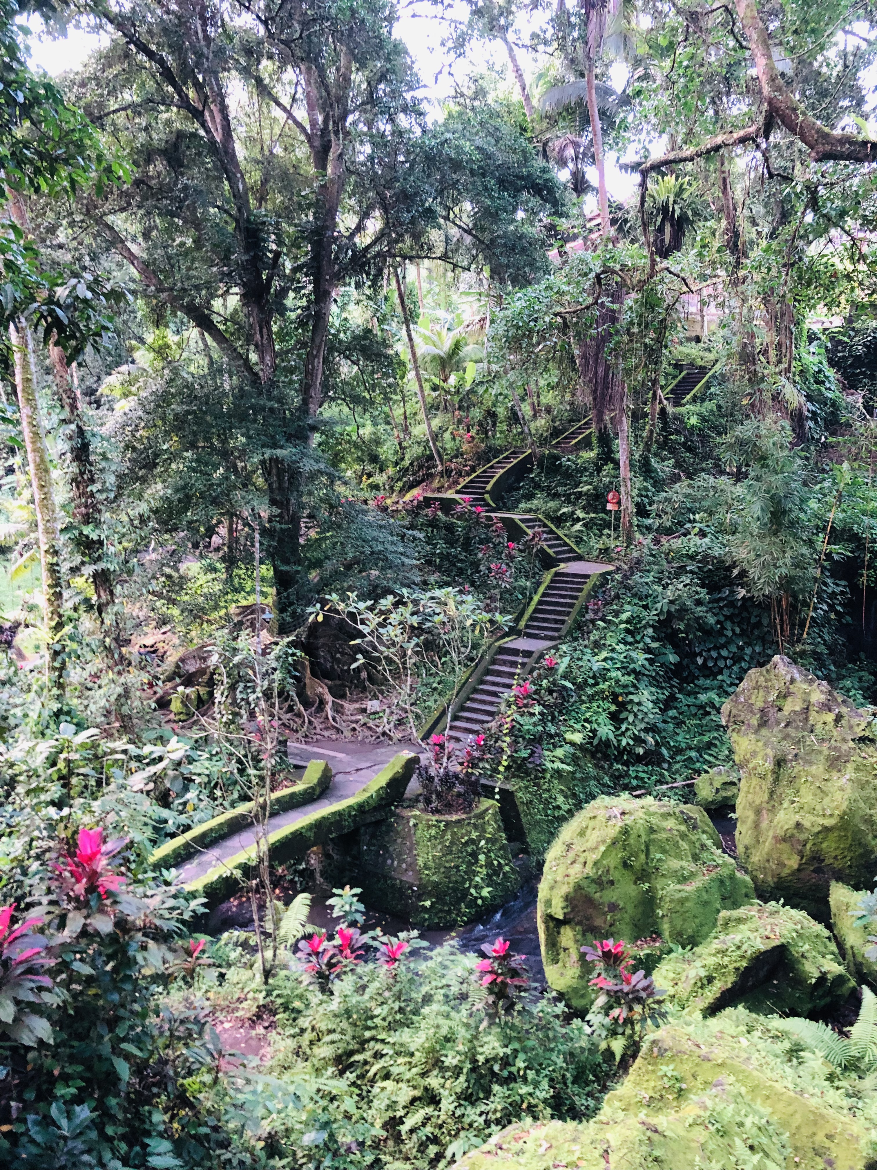 Балийское Блаженство. Волшебное Женское  Путешествие на изумрудном Острове Богов. (95/138)