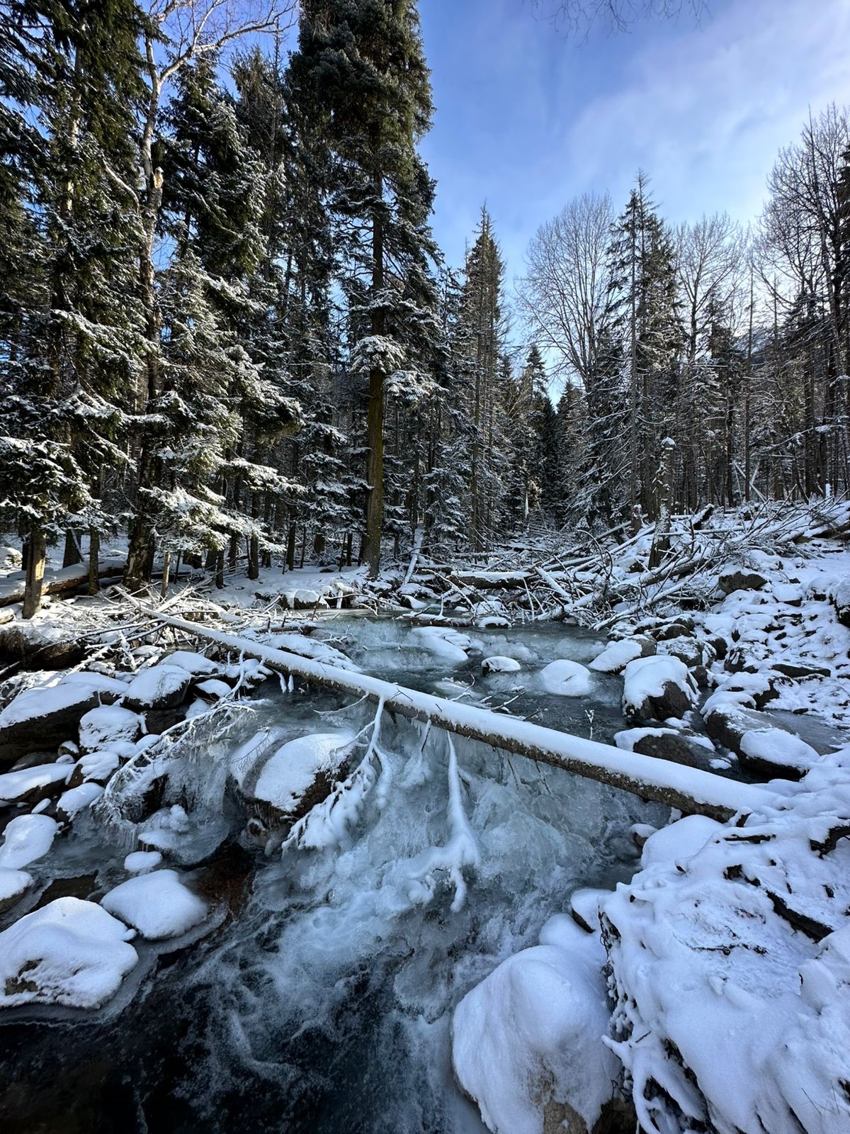 Кавказская перезагрузка. Домбай, Эльбрус, Чегем и парапланы (9/32)