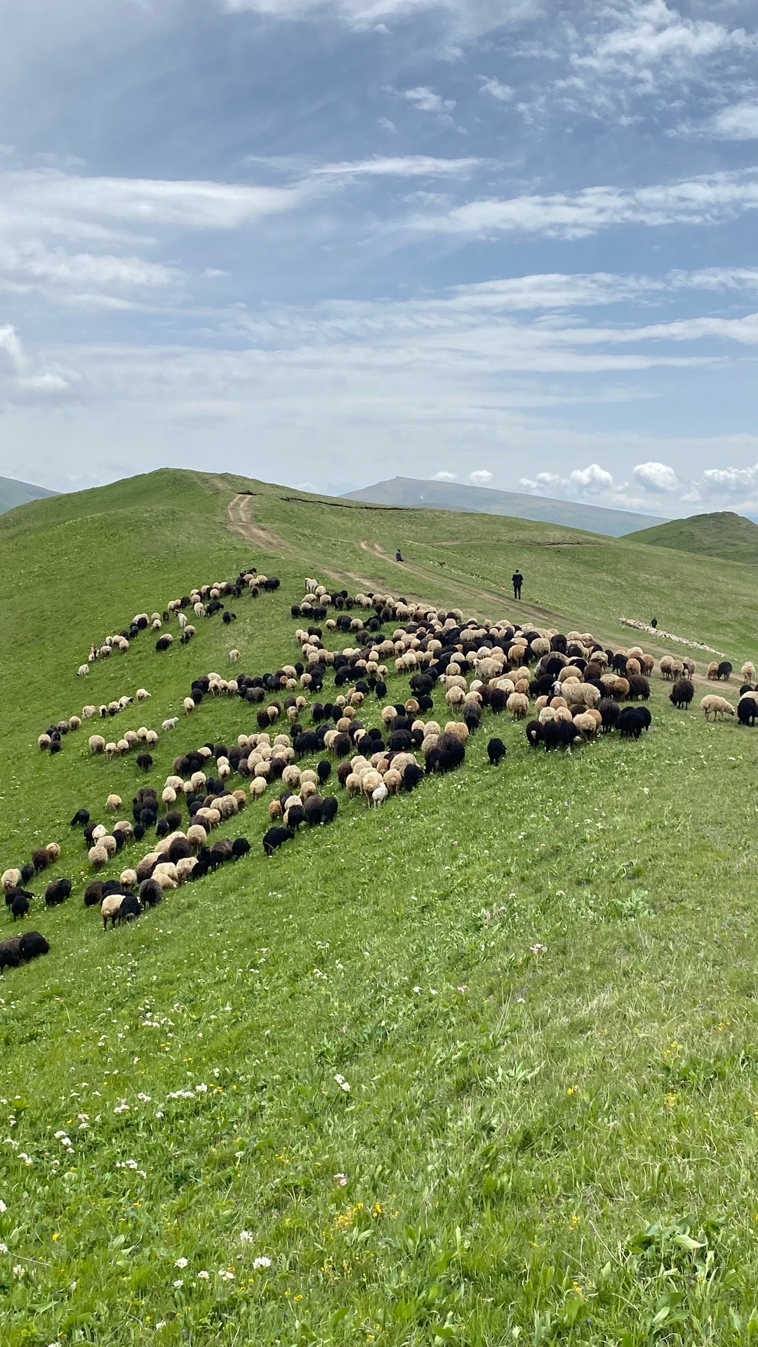 Самые крутые локации за 5 дней! (26/45)