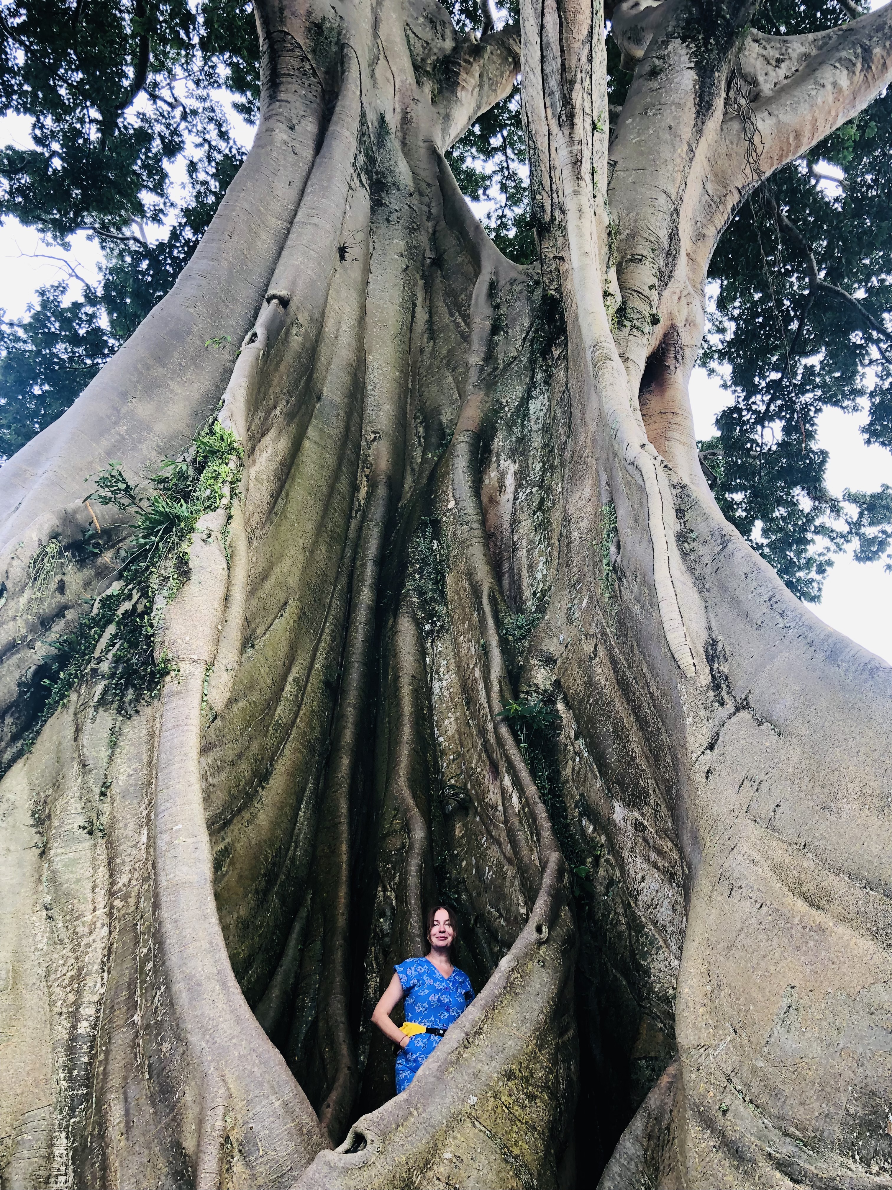 Балийское Блаженство. Волшебное Женское  Путешествие на изумрудном Острове Богов. (106/138)