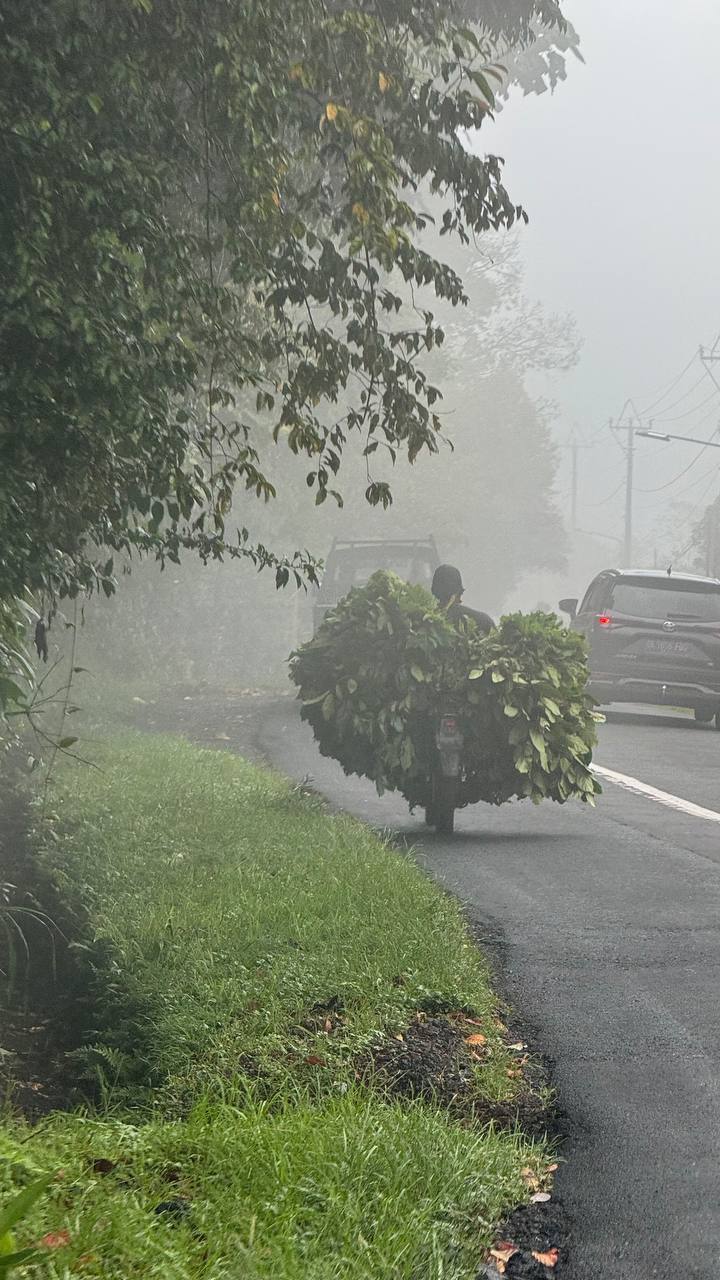 Балийское Блаженство. Волшебное Женское  Путешествие на изумрудном Острове Богов. (72/138)