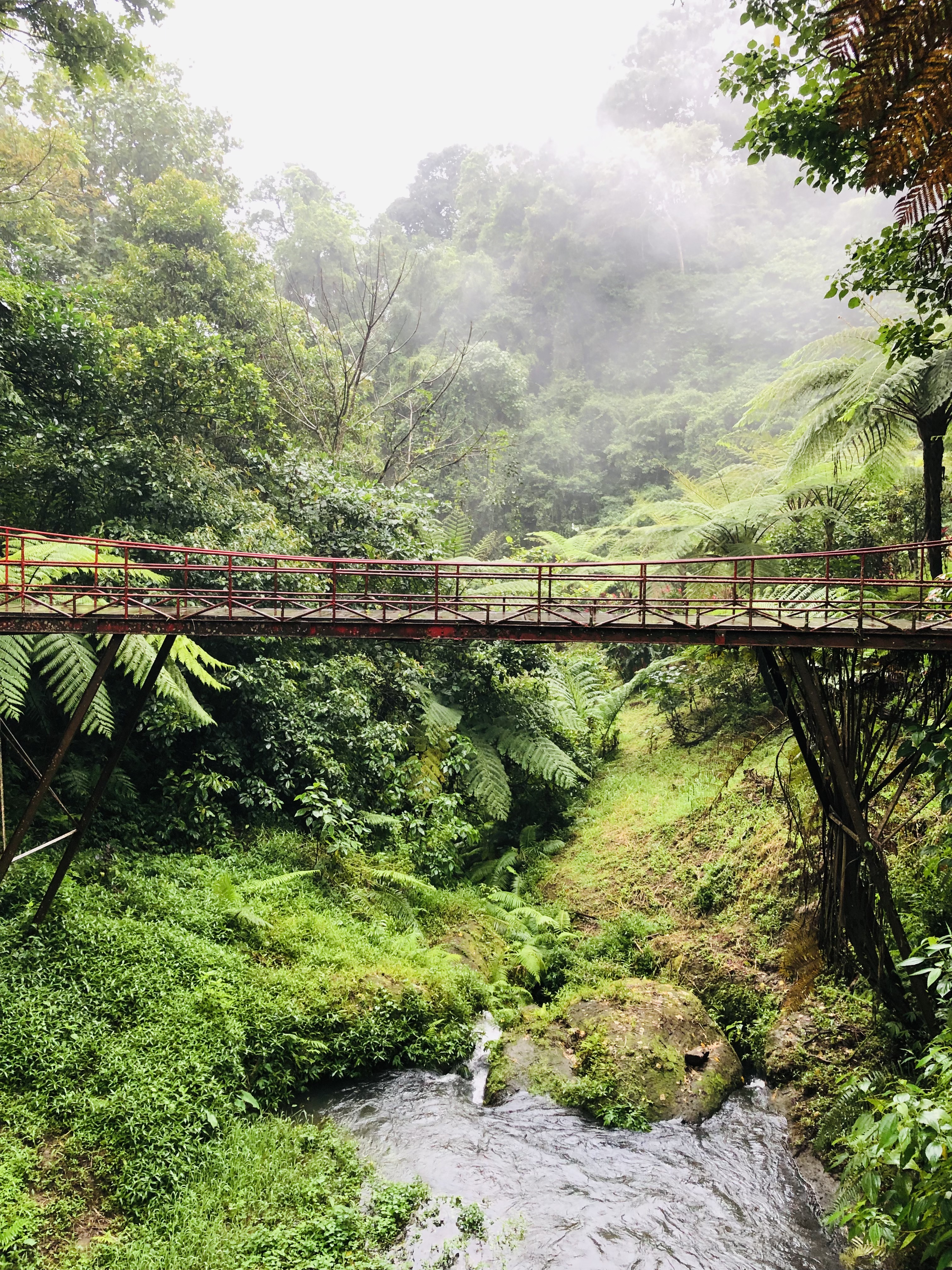 Балийское Блаженство. Волшебное Женское  Путешествие на изумрудном Острове Богов. (77/138)