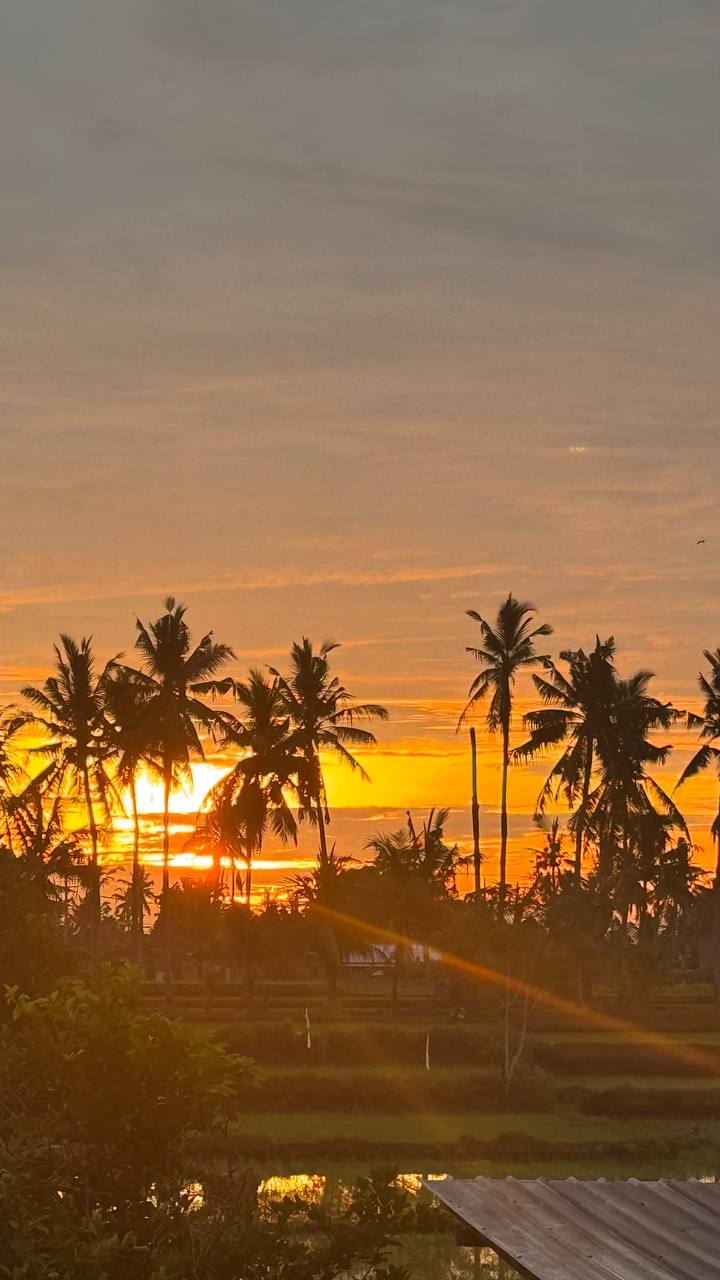 Балийское Блаженство. Волшебное Женское  Путешествие на изумрудном Острове Богов. (66/138)