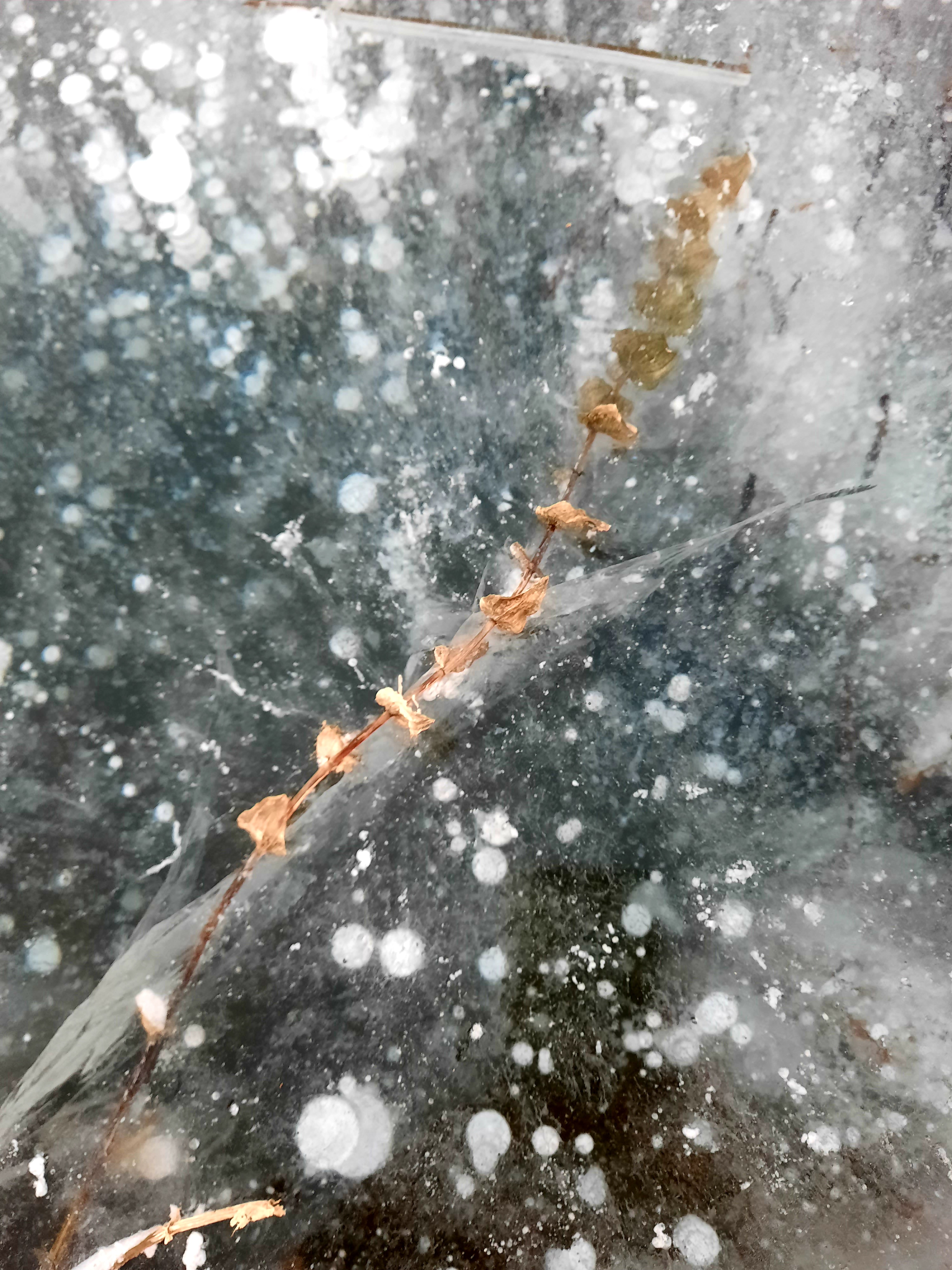 В поисках первого льда