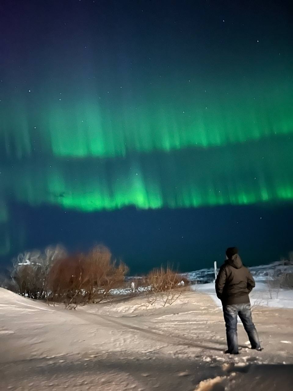 Тур для двоих. Мурманск+Териберка. Северное сияние, флоатинг, снегоходы, киты, хаски (3/35)
