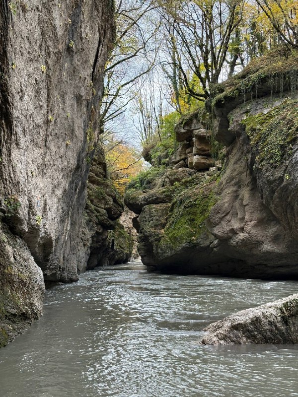 Покори Адыгею: незабываемое путешествие в сердце Кавказа (мини-группа) (24/35)