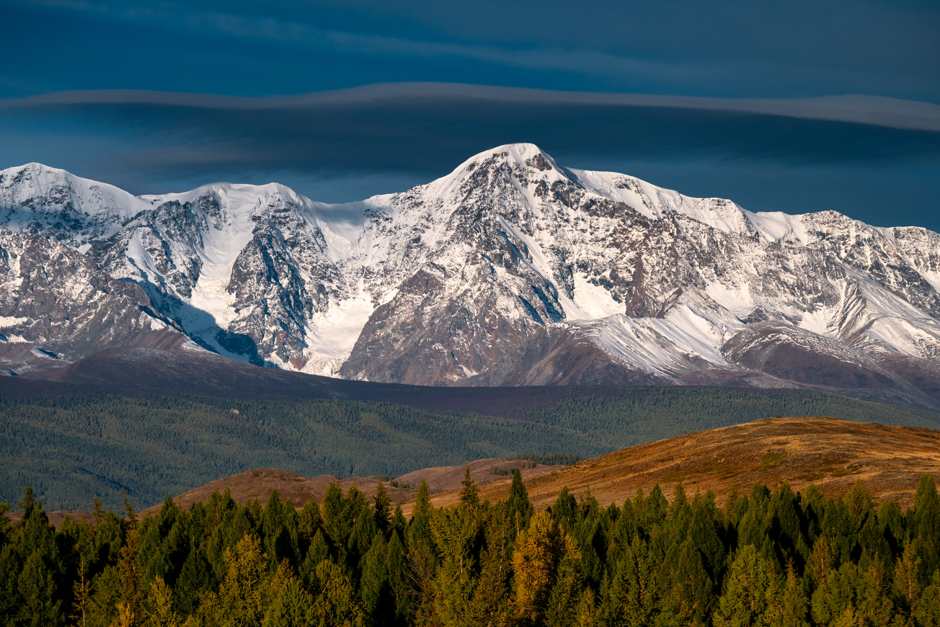 Дорога домой