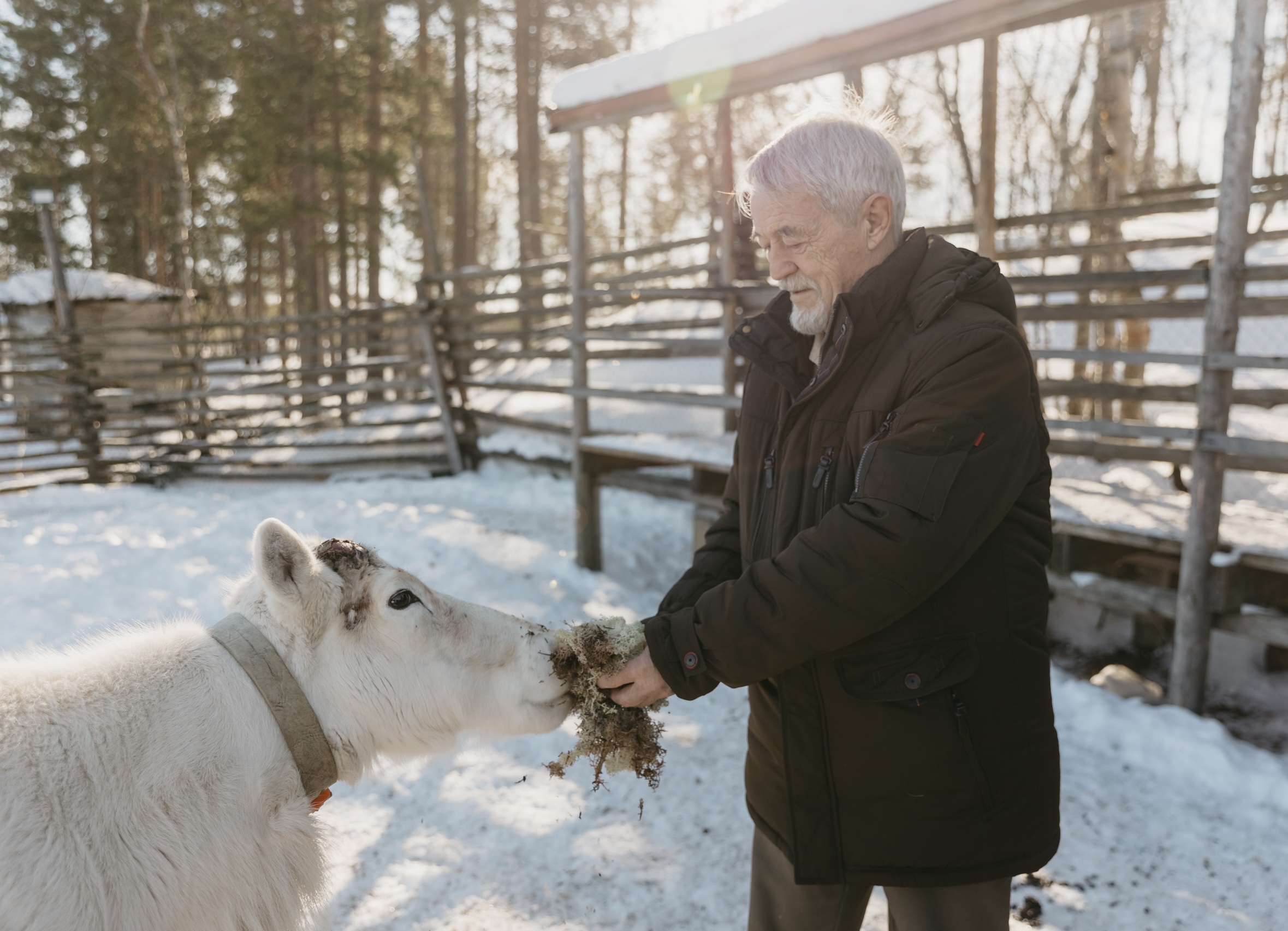 Семейный тур на край земли. Кольский полуостров, 0+ (20/32)