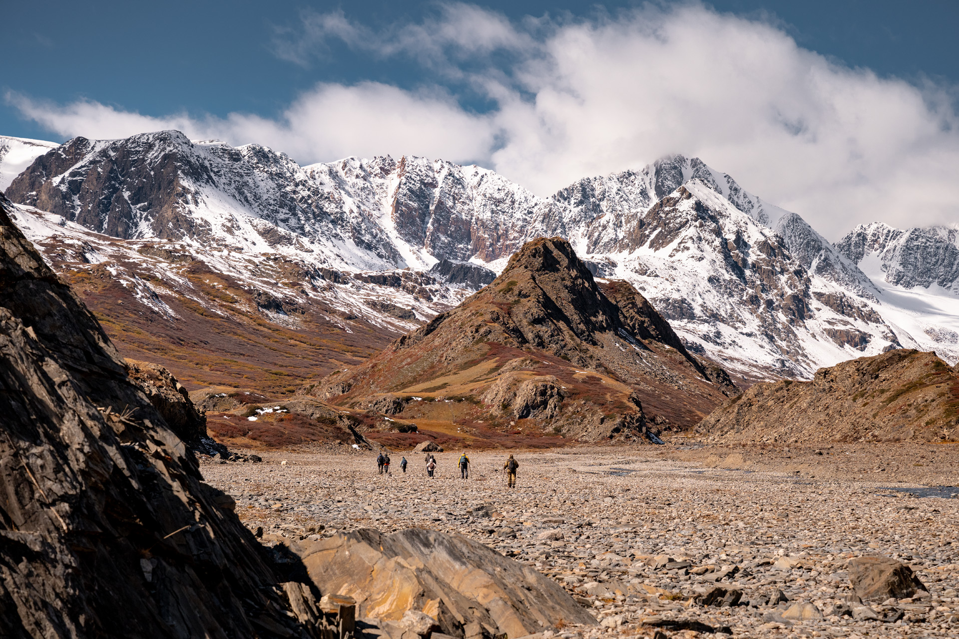 Ледник Джело