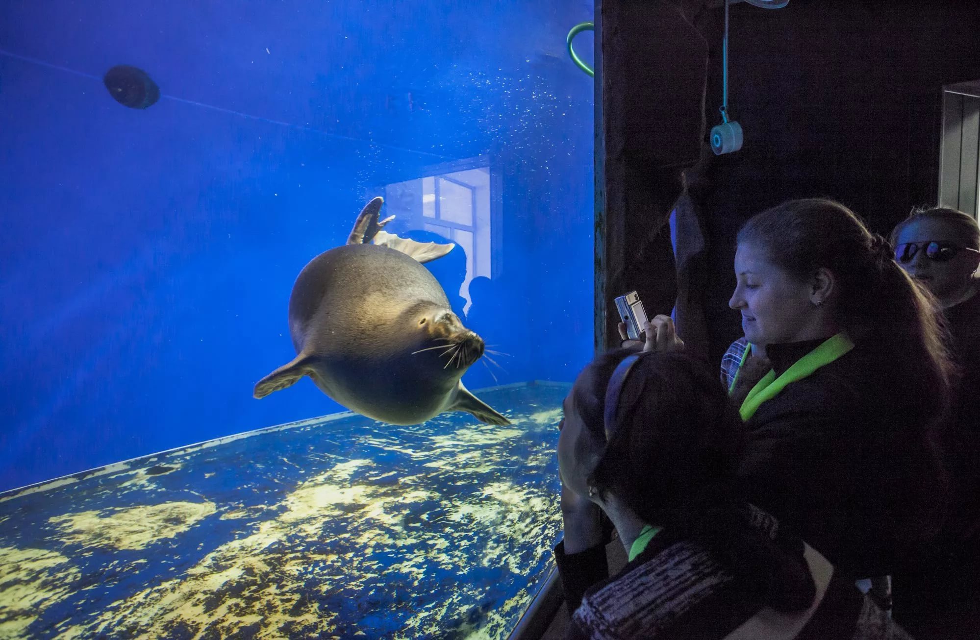 Визитные карточки и хиты Байкала: Иркутск, Листвянка, Кбжд, Малое Море и Ольхон. (70/96)