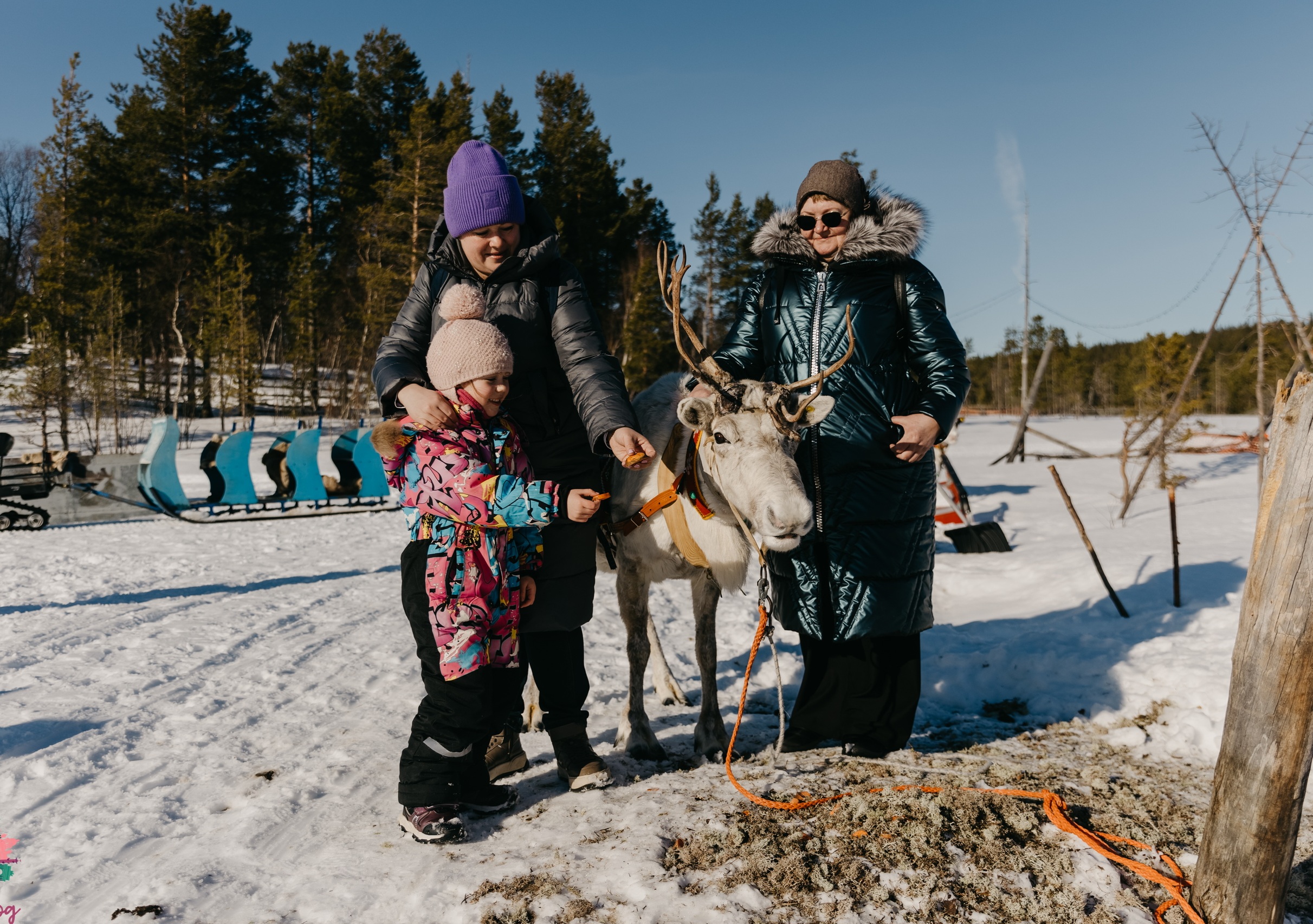 Семейный тур на край земли. Кольский полуостров, 0+ (17/32)