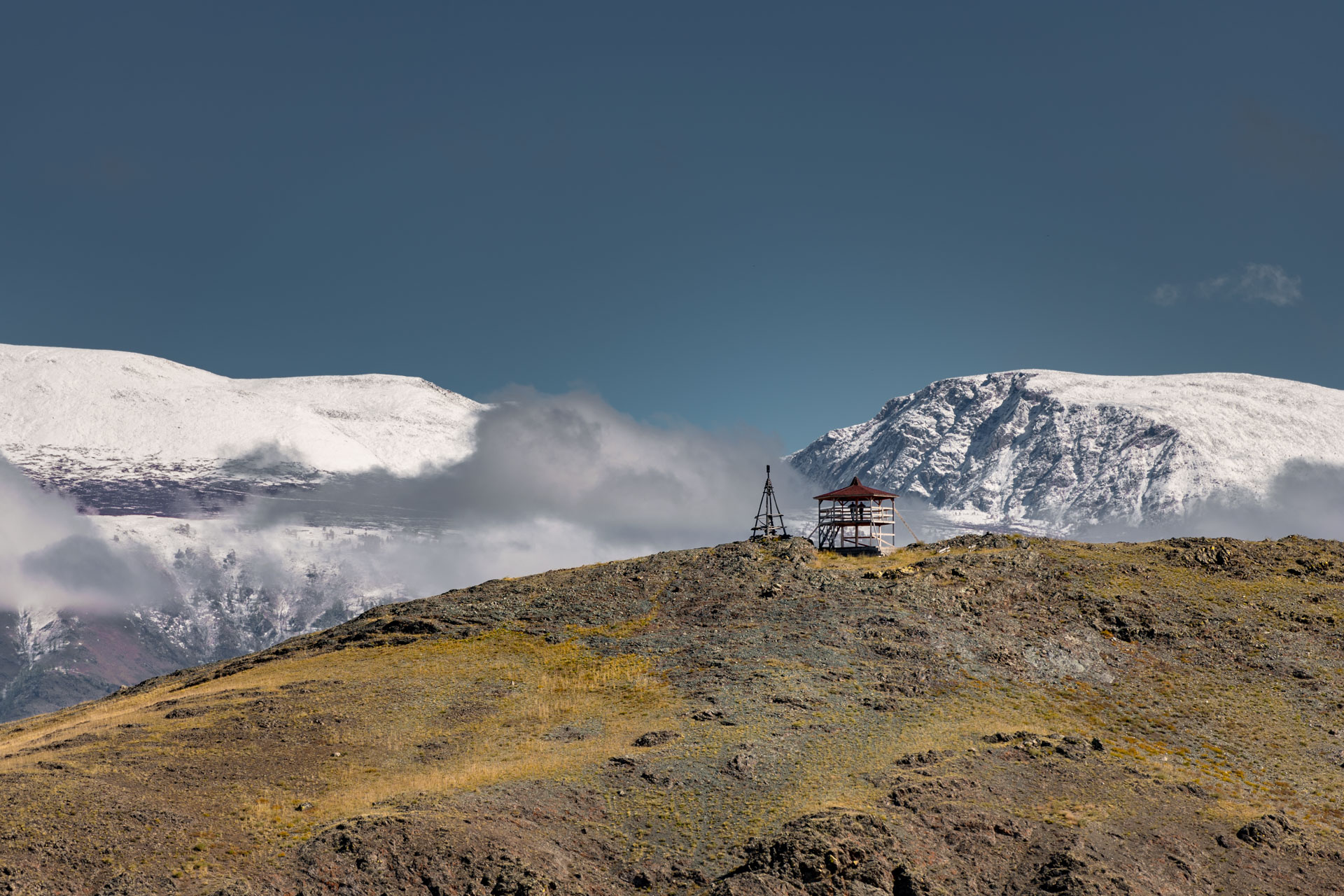 Курайская степь