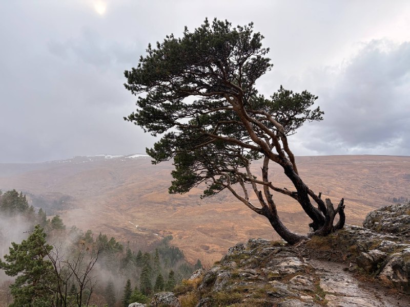 Покори Адыгею: незабываемое путешествие в сердце Кавказа (мини-группа) (13/35)
