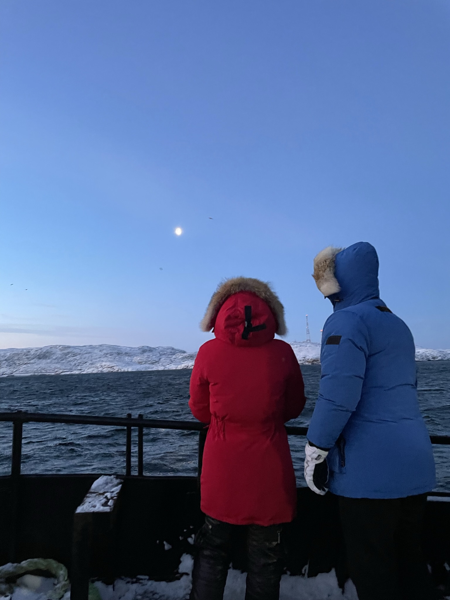 Тур для двоих. Мурманск+Териберка. Северное сияние, флоатинг, снегоходы, киты, хаски (30/35)