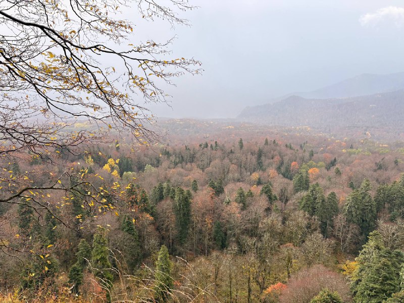 Покори Адыгею: незабываемое путешествие в сердце Кавказа (мини-группа) (11/35)