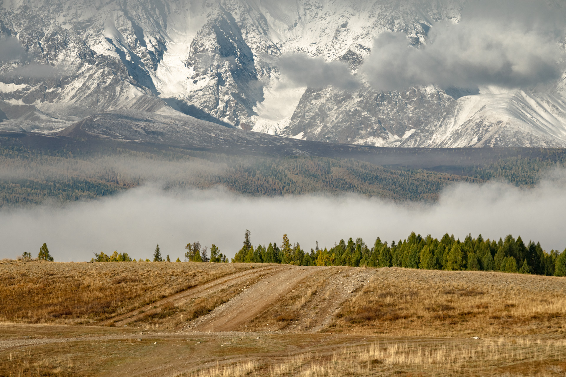 Курайская степь
