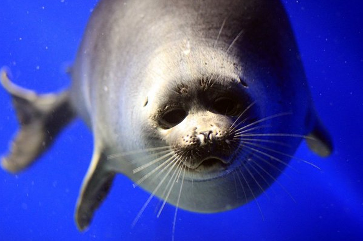 Визитные карточки и хиты Байкала: Иркутск, Листвянка, Кбжд, Малое Море и Ольхон. (68/96)