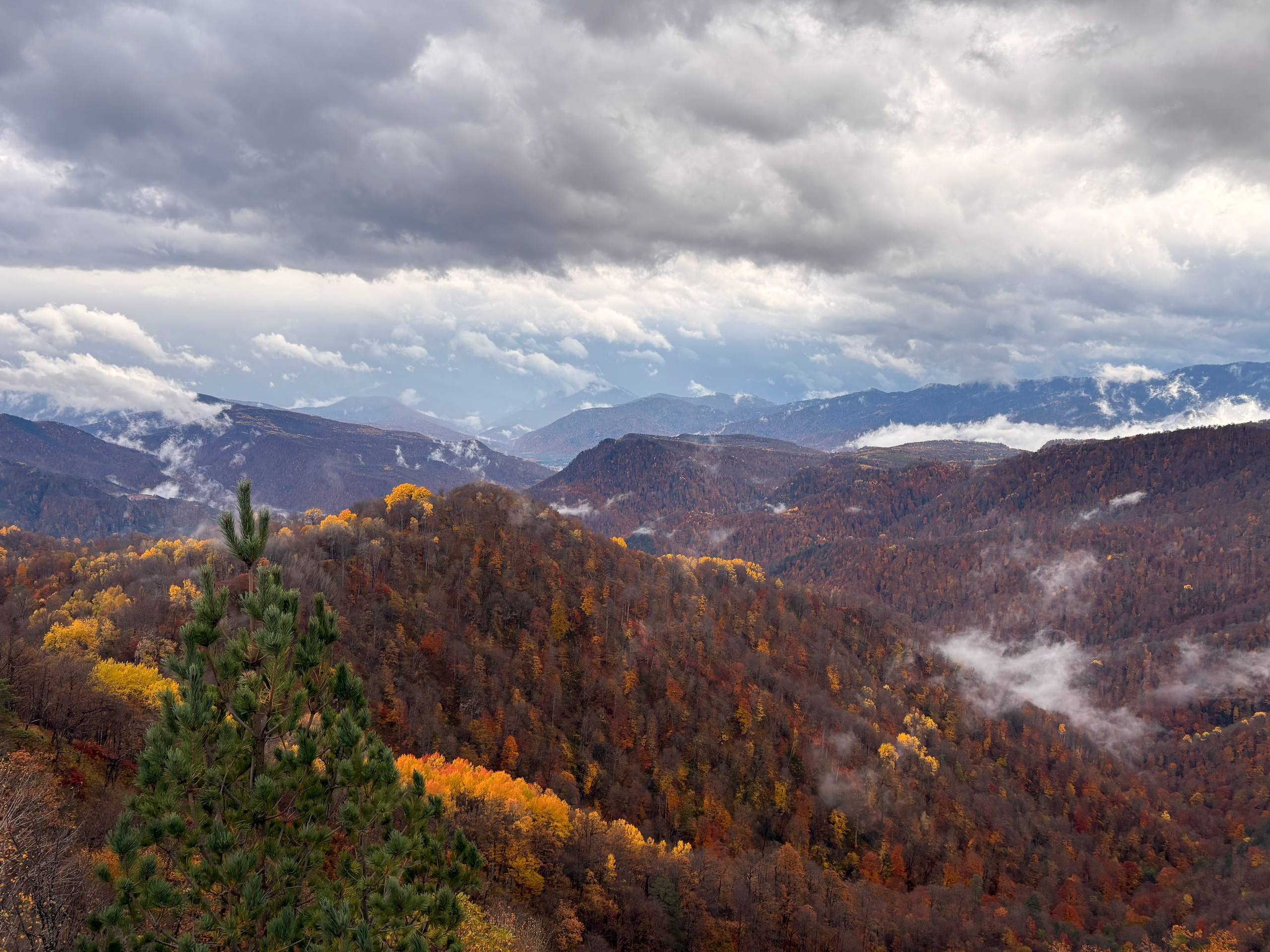 Покори Адыгею: незабываемое путешествие в сердце Кавказа (мини-группа) (16/35)