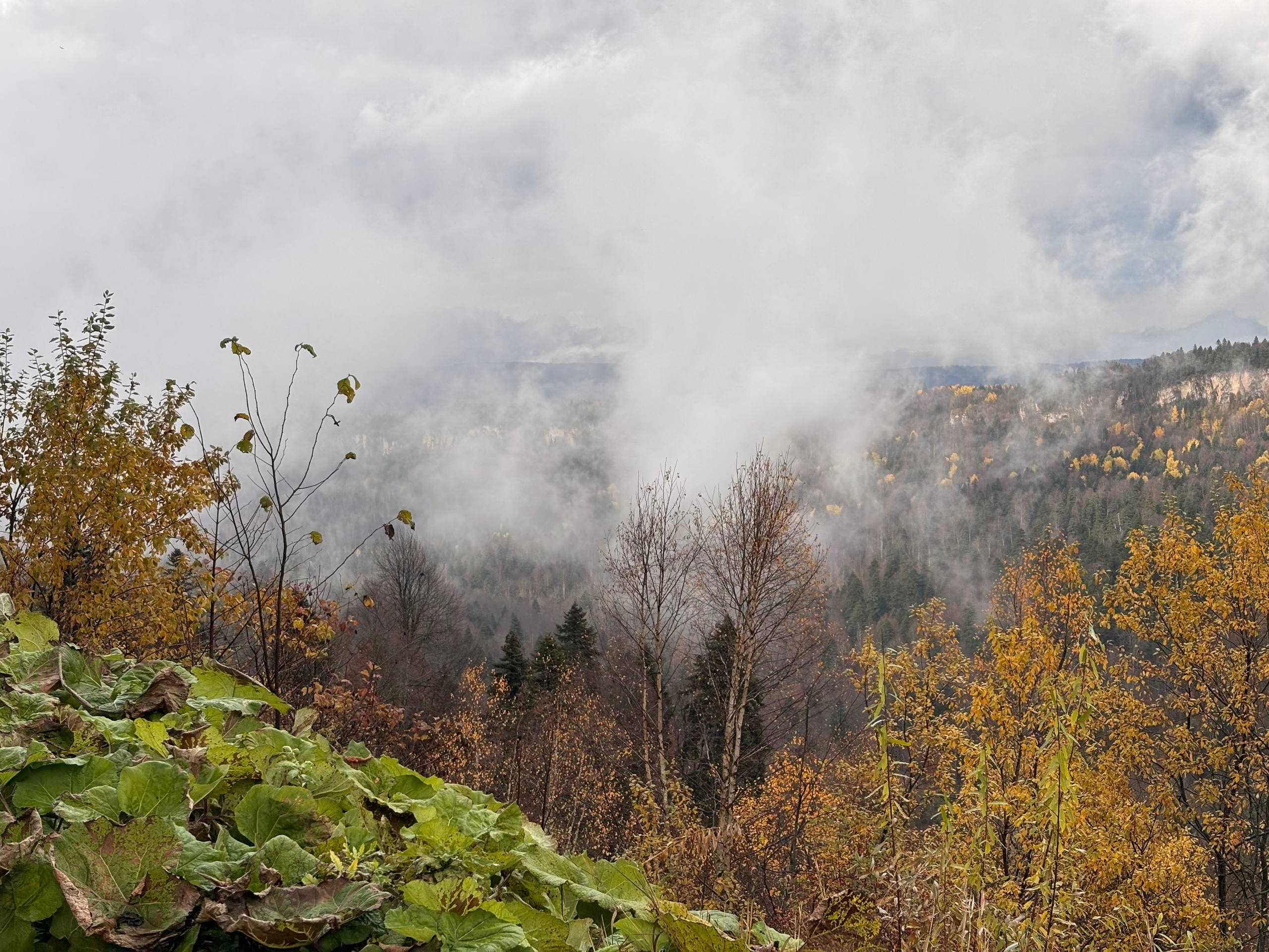 Покори Адыгею: незабываемое путешествие в сердце Кавказа (мини-группа) (14/35)
