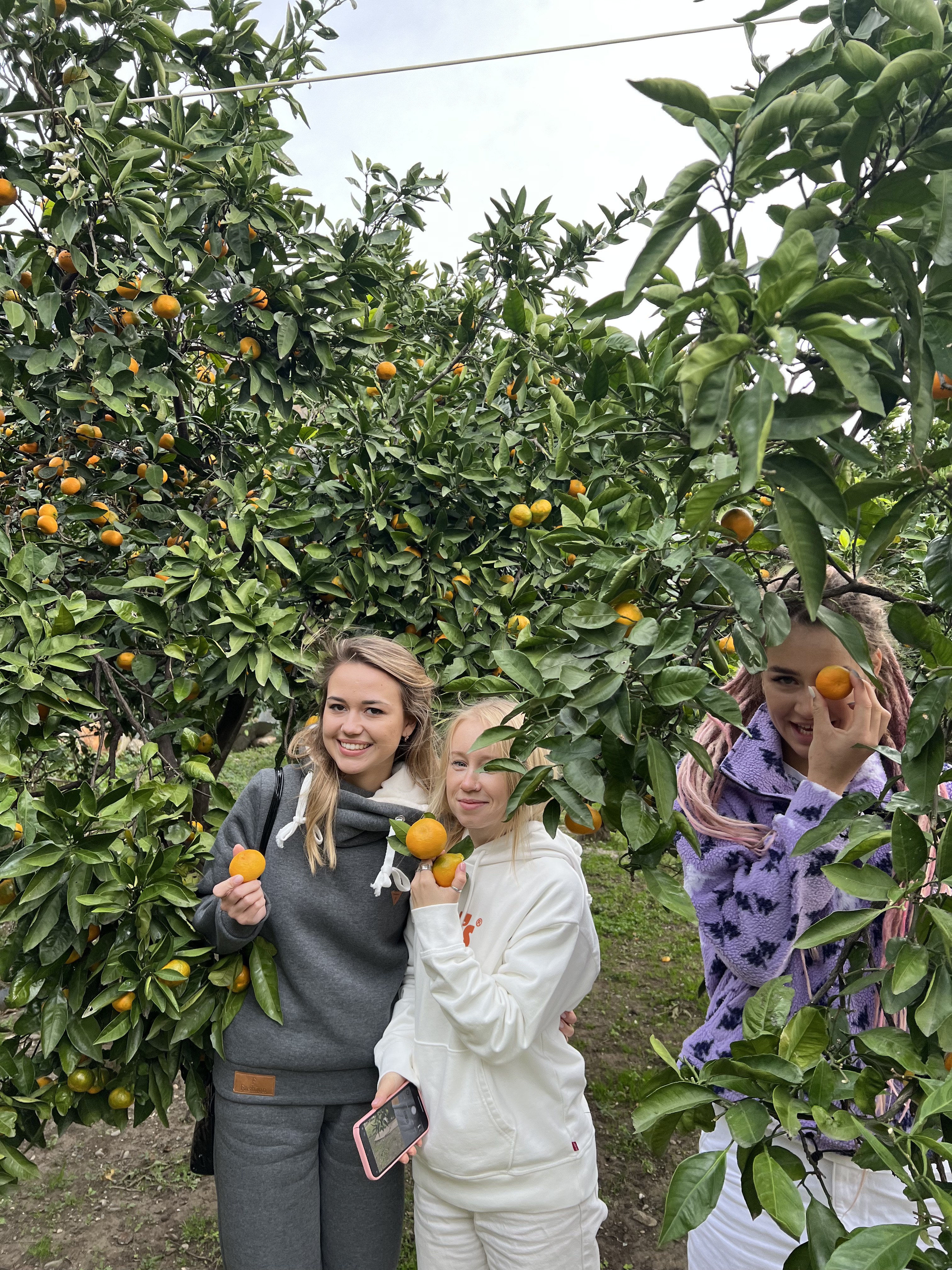 Экскурсия на озеро Рица  (8/11)