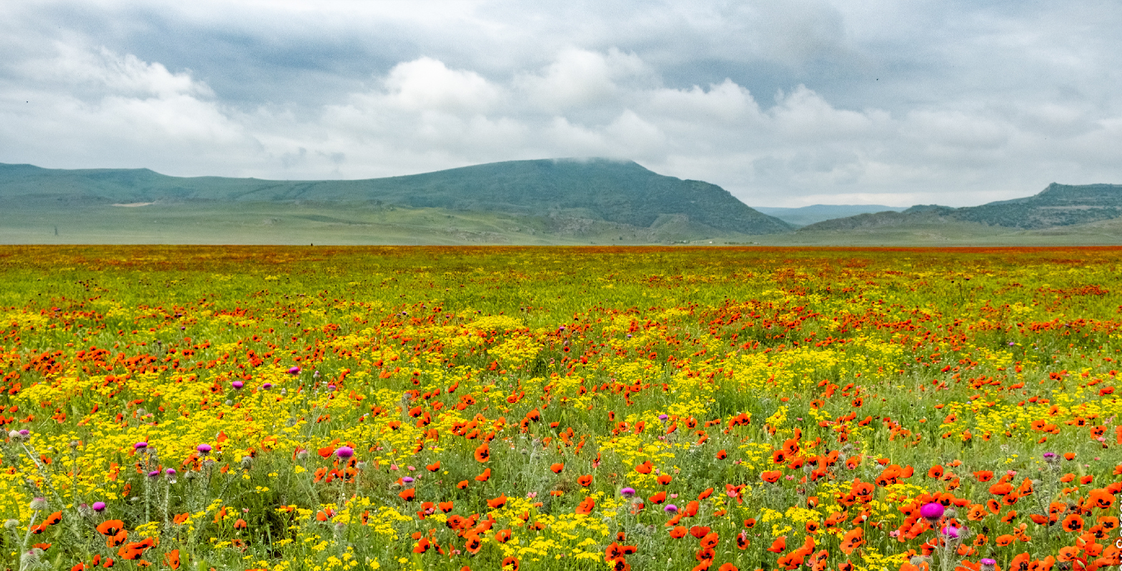 Дагестан за 5 дней: Путешествие сквозь пески, горы и века (3/38)