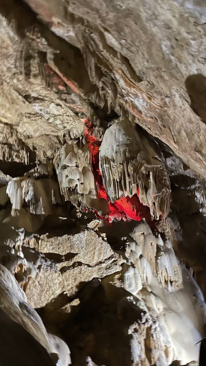 Из Краснодара в Абхазию (9/21)