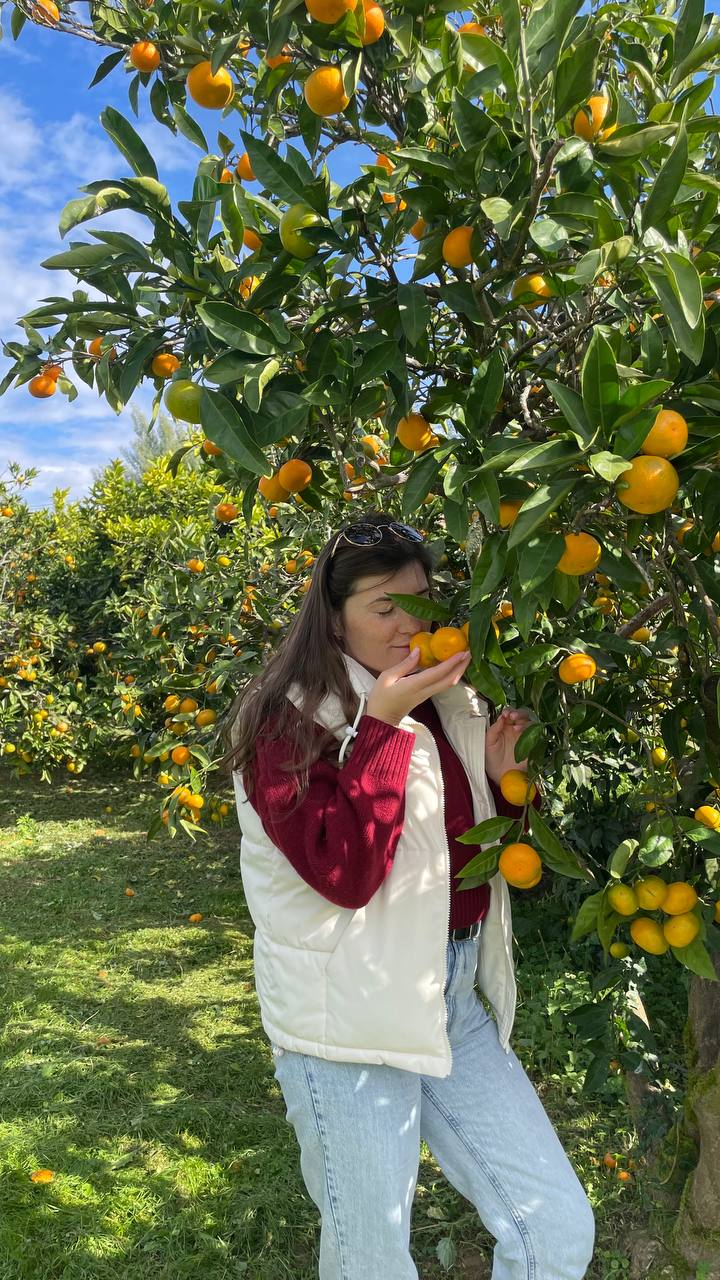 Из Краснодара в Абхазию