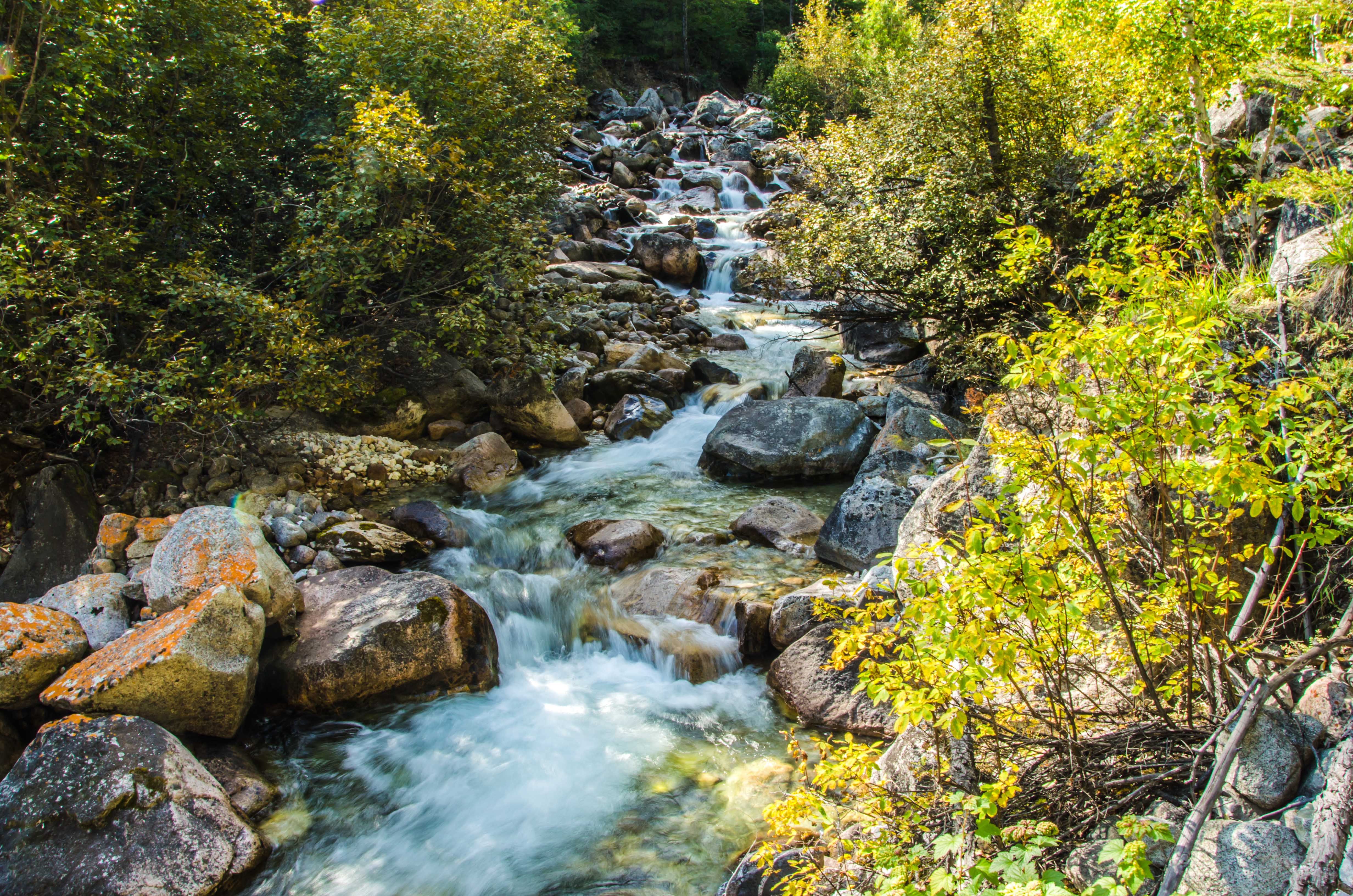 Байкал Бурятия Баргузин Мультитур Горы и Тайга (23/25)