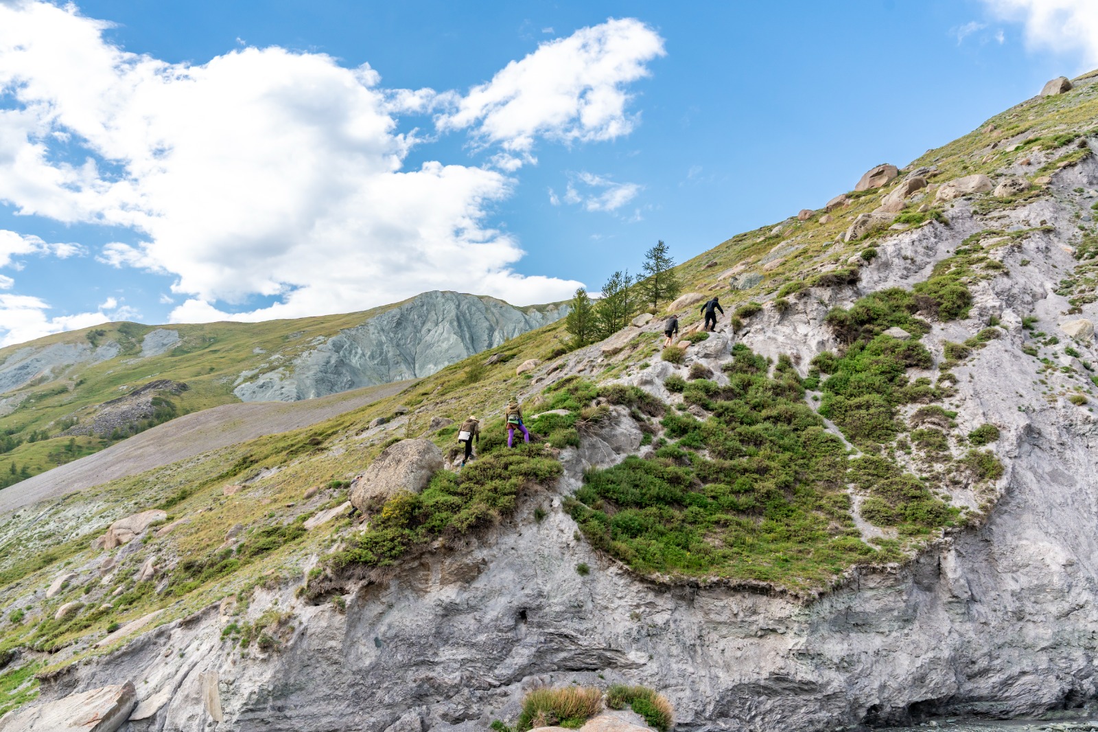 К подножью Белухи (10/31)