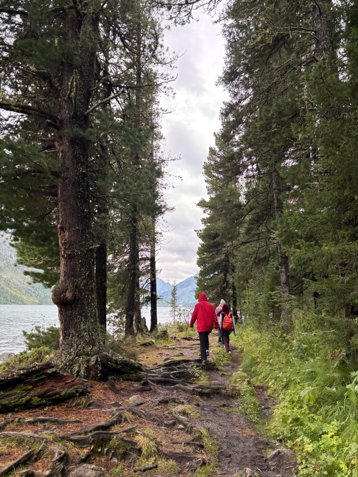 К вершине мира: Кокса-Катунь-Горные озера-Белуха (5/16)