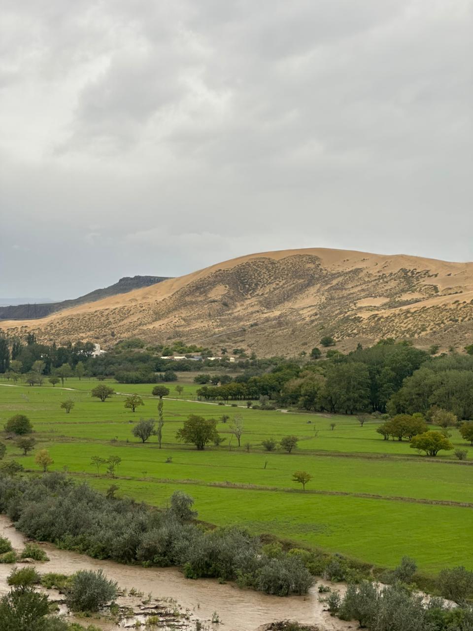Открывая Дагестан: за три дня к сердцу Кавказа (Все Включено) (67/107)
