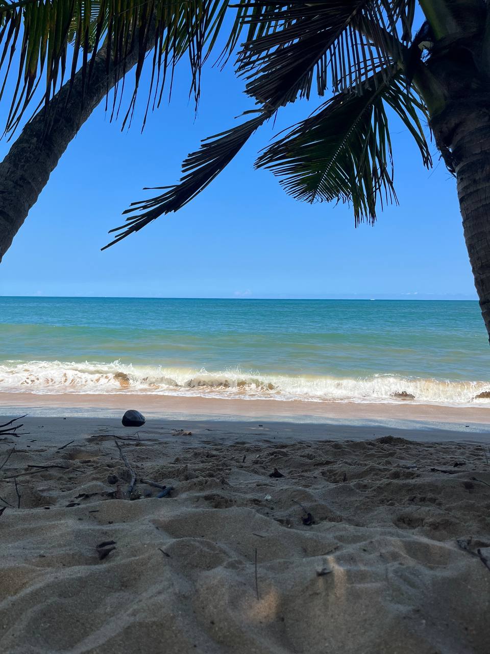 Дни на Ваш выбор