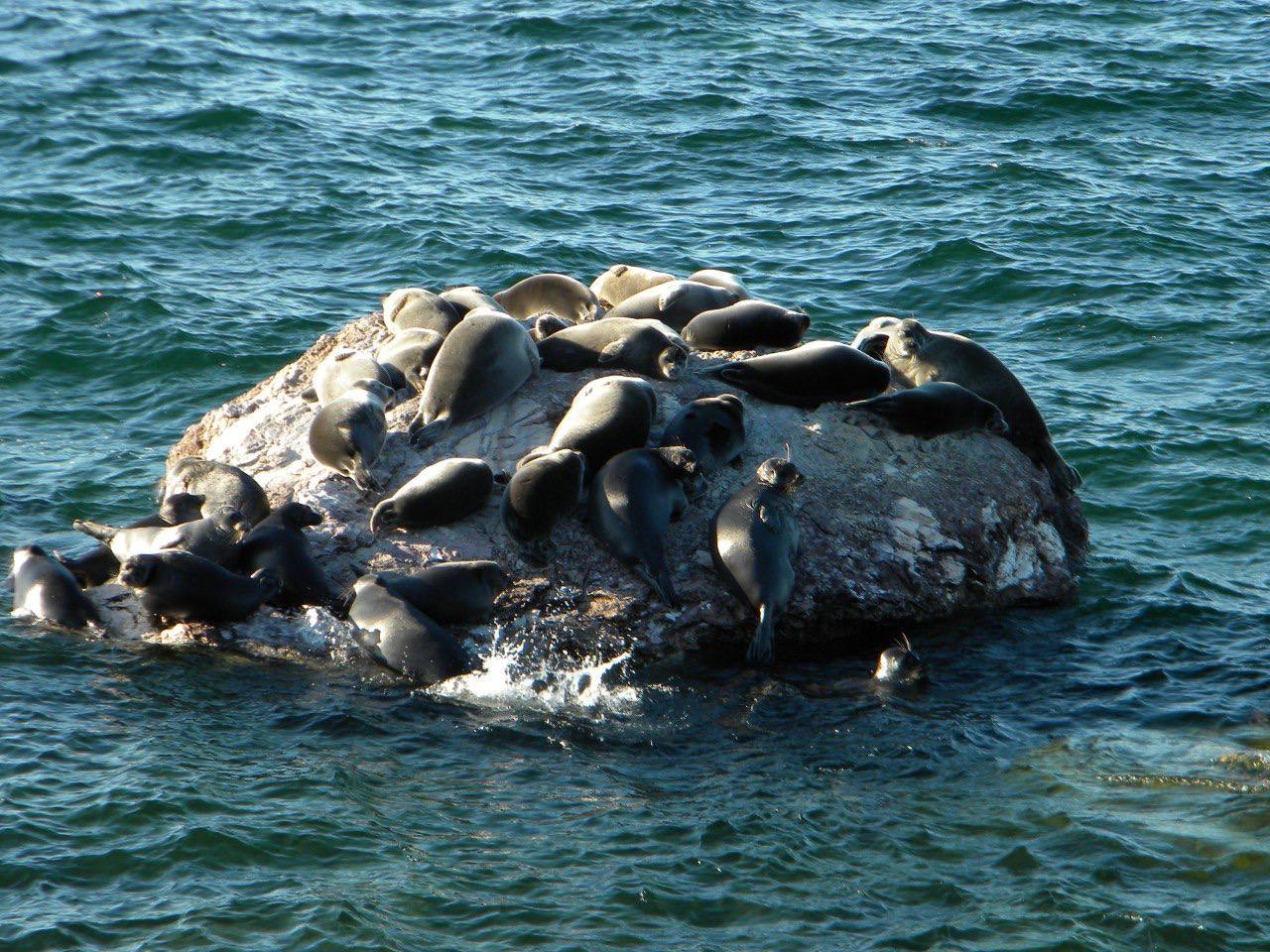 Круиз Сердце Байкала — 10 дней впечатлений