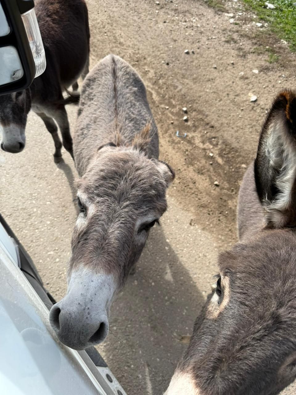Открывая Дагестан: за три дня к сердцу Кавказа (Все Включено) (44/107)