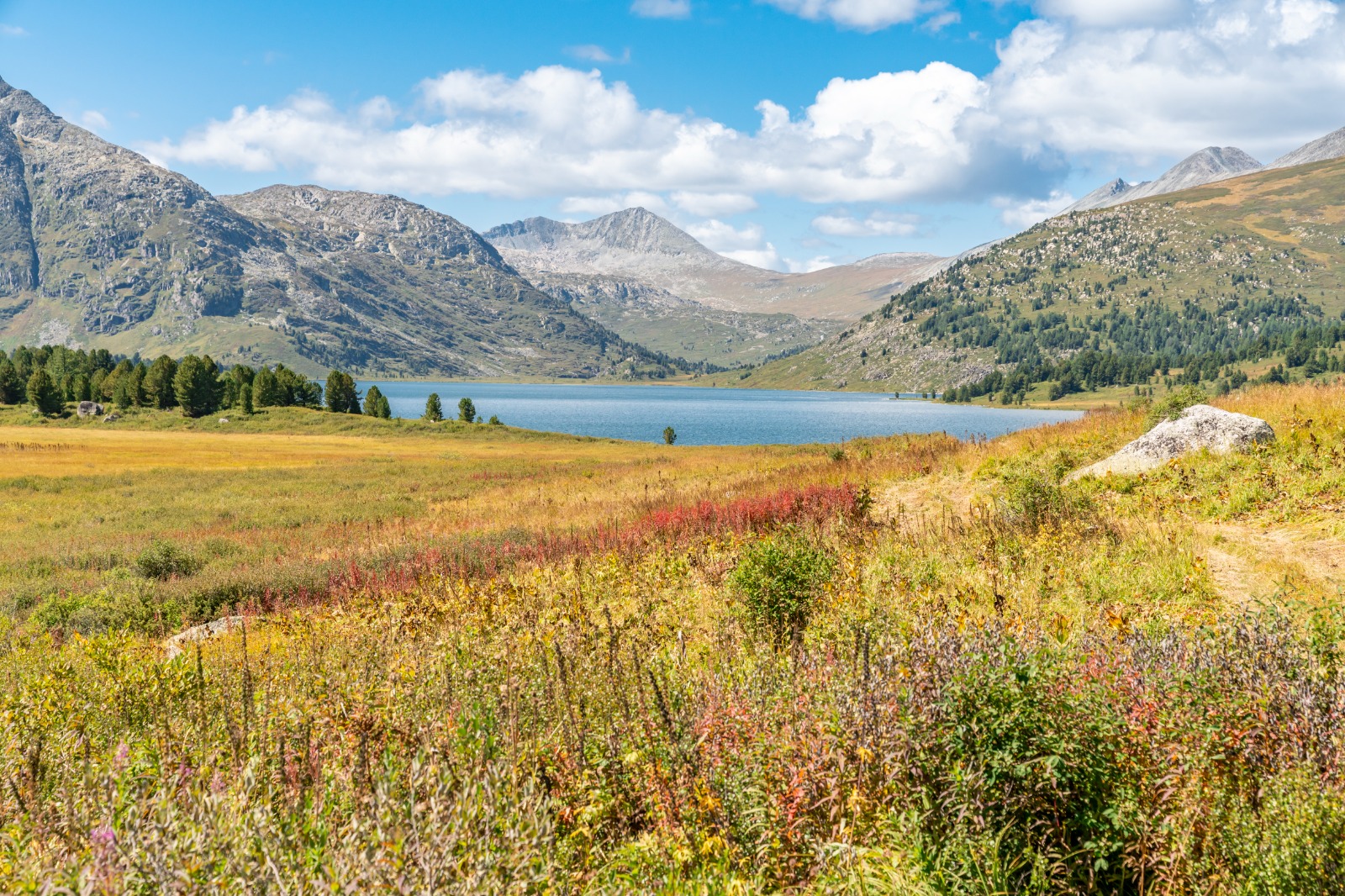 Конное путешествие на плато Укок (8/16)