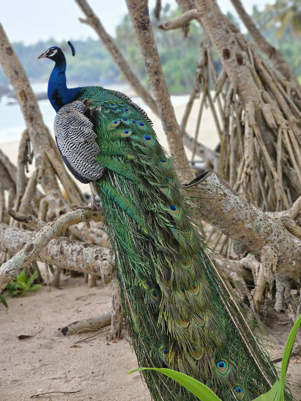 Дни на Ваш выбор