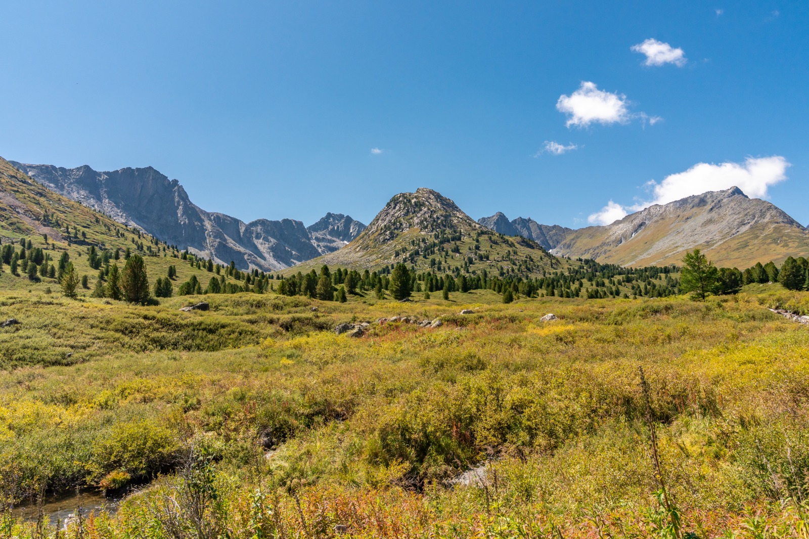 Конное путешествие на плато Укок (6/16)