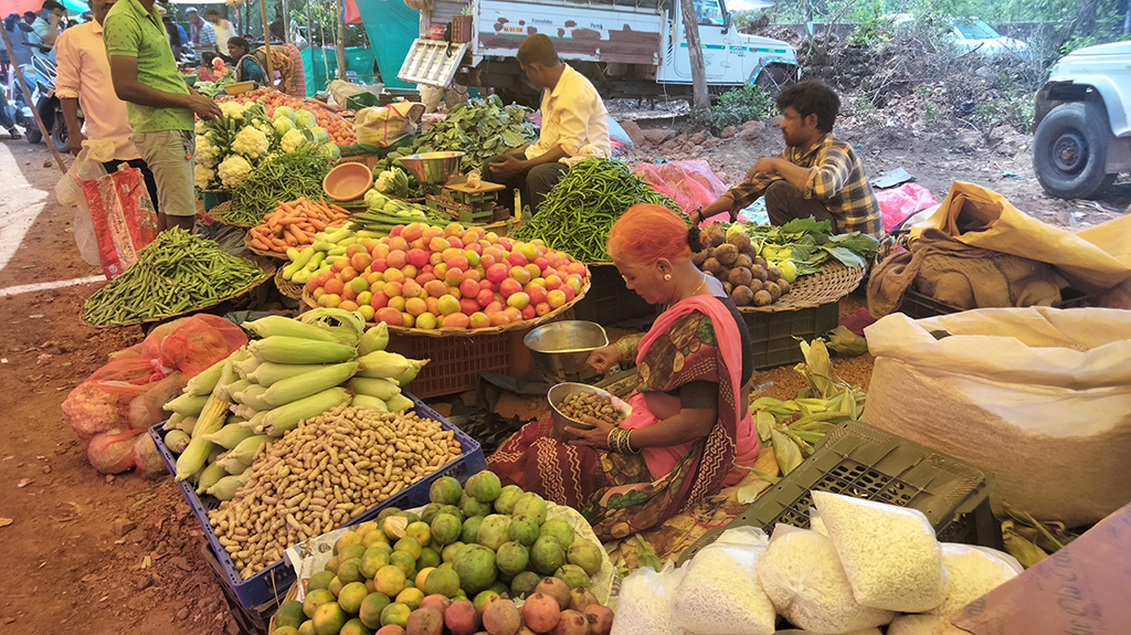 Затерянный храм, дворцы и замки Индии, пляжный отдых в Керале (21/28)