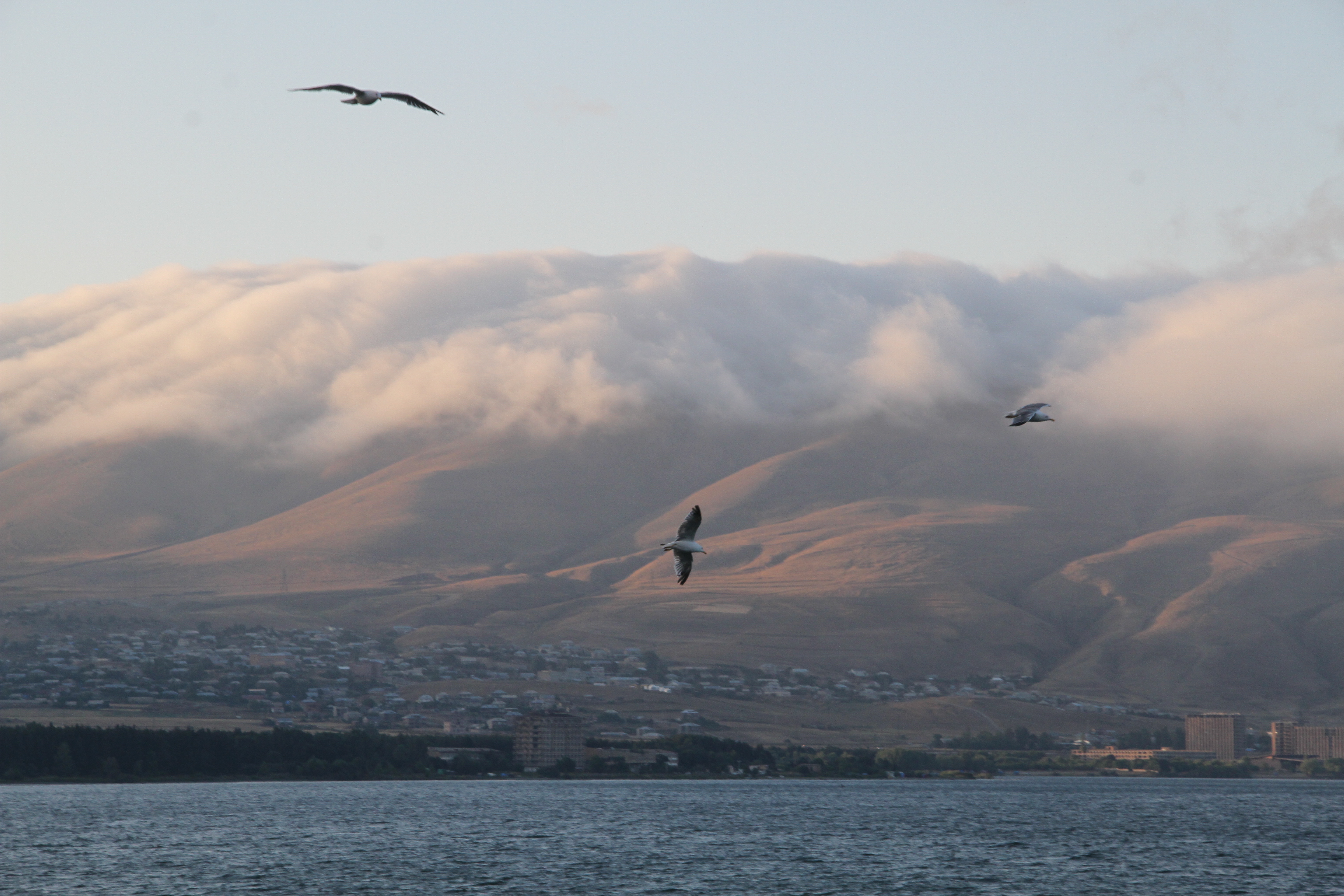 Армения-Любовь моя! (7/17)