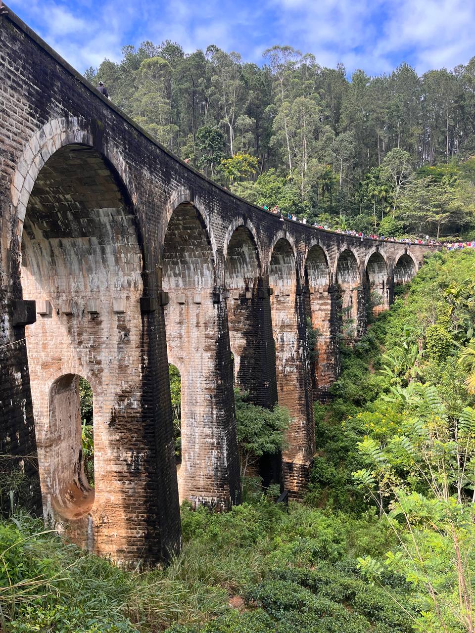 Рассвет над облаками и зелёные холмы